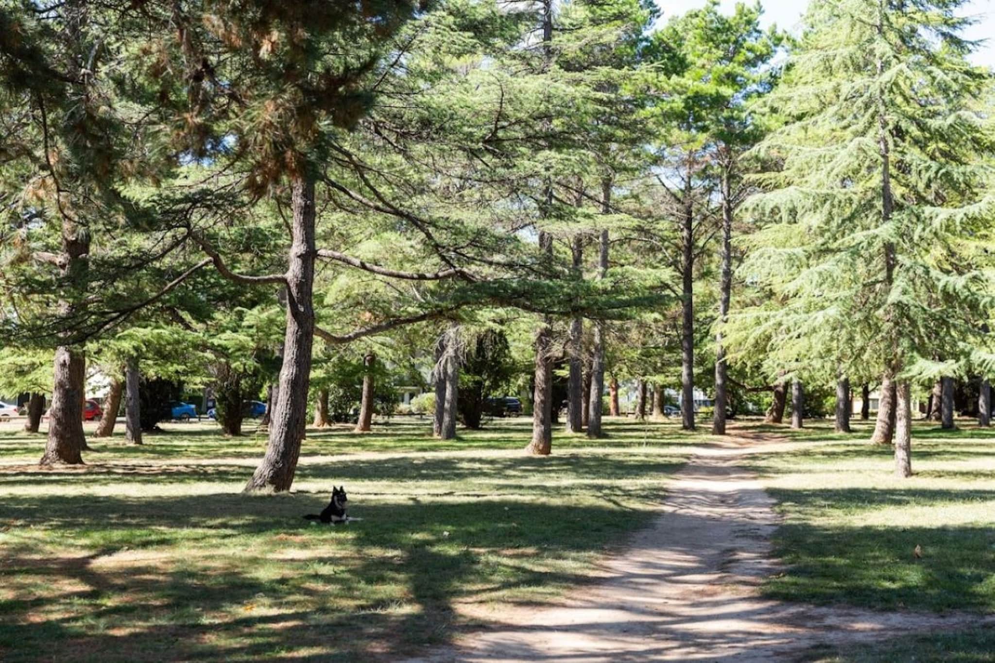 Designed for elegance and ease, this pristine studio is ideal for visitors to the ACT, whether for business or leisure. The contemporary, light-filled interiors with large windows offer an inviting ambiance. Outside, you'll be close to parks, excellent dining options, and public transport. With features like air conditioning, onsite parking, and a convenient 7-minute drive from the CBD, this accommodation is perfect for your ACT visit.
The space
This elegantly designed king-sized studio apartment offers a perfect blend of comfort and functionality. Inside, you'll find a chic, compact kitchen and a spotless, contemporary bathroom. The bright, spacious layout includes large sliding doors that open onto a communal balcony with a BBQ area, dining space, and stunning views. Located in a prime area, you'll have easy access to parks, restaurants, shops, and public transport. Additional amenities include air conditioning, laundry facilities, and onsite parking. With self-check-in available, guests can enjoy a seamless stay from start to finish in this pristine property.
Living Space
- Couch sits 2 people
- TV with free air channels & streaming available (guests to use own credentials)
Kitchen & Dining Area
- Fully equipped with cookware, utensils and cutlery
- Oven and induction stovetop
Bathroom & Laundry
- Paid communal laundry facilities available
- Travel essentials, towels and hairdryer provided
Amenity Notes
- Split A/C (heating + cooling)
- Wi-Fi available
- Parking for 1 vehicle
- Amenity access: access to a communal balcony with a BBQ area, dining area, and views (level 1)
Local area description
Braddon is a trendy and vibrant suburb located in the heart of Canberra. Renowned for its eclectic atmosphere, Braddon has undergone significant urban revitalisation in recent years, transforming into a hip and cosmopolitan area. Known for its diverse range of cafes, restaurants, boutiques, and art spaces, Braddon attracts a young and dynamic demographic. The suburb's streets are lined with contemporary apartment buildings, historic cottages, and modern developments, creating a unique urban landscape. Its central location, just north of the Canberra city centre, makes it a popular choice with a lively blend of cultural experiences, culinary delights, and a thriving community spirit.
House rules
You are staying in a friendly and peaceful neighbourhood and we kindly ask you to respect the community and your surrounding neighbours. The following strict House Rules apply:
- No loud noise between 10 pm and 8 am
- No parties or antisocial behaviour
- No additional people are to access the property without our prior approval
- No pets are allowed in the property without approval
- No smoking is allowed at any times
- If you break something, please let us know
- To help protect all floor coverings, do not wear any shoes inside the property
Please be aware that excessive noise such as amplified music, vocals or screaming or anti-social behaviour in the property or common areas can cause neighbours to complain to us, the Building Manager, Council Rangers or Police.
IMPORTANT:
- Any breach of the House Rules may lead to a $500 fine plus compensation for any cost/damage created and immediate eviction of the property without refund.
- Pets are available on request unless the property states it is pet friendly. Any stays with pets will incur an additional cleaning fee of $200.
Finally, when checking out, we kindly ask you for the following:
- Please leave all beds unmade
- Please clean up your dishes and put them away
- In case you have rearranged furniture, please put it back to the original location
- Please take out the rubbish and remember to use the right bins
- Please ensure all appliances, A/C and lights are off and doors and windows are closed.
- Please check your accommodation thoroughly before departing to avoid any unintentional items left behind.
We are not liable for any items left behind after your stay. In the rare event that a guest reports a missing item, we will make every effort to locate it for you, but we cannot guarantee its retrieval. If the item is found, we will gladly assist in arranging its return to an address within Australia, subject to postage and service fees.
Interaction with guests
Welcome to MadeComfy! Our local team curates stays in exceptional Australian & New Zealand properties, ensuring style, comfort, and prime locations for discerning guests. We prioritise your needs to provide a memorable home-away-from-home experience. Explore our digital guidebooks for local recommendations, and don't hesitate to contact us throughout your stay. We're here to ensure your comfort - enjoy your stay with MadeComfy.
Notes
For your comfort, this property is prepared with professional-grade hotel-style linen, including a three-sheet setup, ensuring a fresh and hygienic sleep experience.
Extra Services:
- Early Check-in: Our standard check-in is at 3 pm. To guarantee early access to the property we suggest booking the night before if available. Otherwise, early check-in is subject to availability from the night before at an additional cost.
- Late check-out: Our standard check-out is at 10 am. To guarantee a later check-out of the property we suggest booking an additional night if available. Otherwise, a late check-out is subject to availability from the night before to an additional cost.
- Baggage: For security reasons, we are unable to receive or to keep unattended baggage before check-in or after check-out
- We provide a small welcome amenity pack to get your stay started.
- On level 1, there is a guest laundry with 2 x washers and 2 x dryers, please use your credit card for payment only.
- This booking is protected with coverage for lost baggage and emergency medical expenses, provided by Travel Support with claim upto 500 AUD (T&C Applies). For more details reach out to Guest Support team post booking.
Access description
- To access this property, you must download an app for key access. Note that check-in requires a smartphone & internet capable of downloading the app, and bookings are non-refundable once confirmed. There is no alternative form of access available. Without the app, access to the building cannot be provided. Further details will be provided 3 days before check-in if your booking is successfully reserved.
- The property entry is wheelchair accessible.
Getting around
Public Transport
The light rail runs along Northbourne Avenue, with the closest stop being Elouera Street (550m away). The closest bus stop is located 240 m away from the property on Torrens St after Girrahween St. Please visit the Transport Canberra website for more information.
Getting There
The property is located 8 km away from Canberra Airport. By car, the journey will take around 10 minutes. By public transportation, the journey will take around 40 minutes.