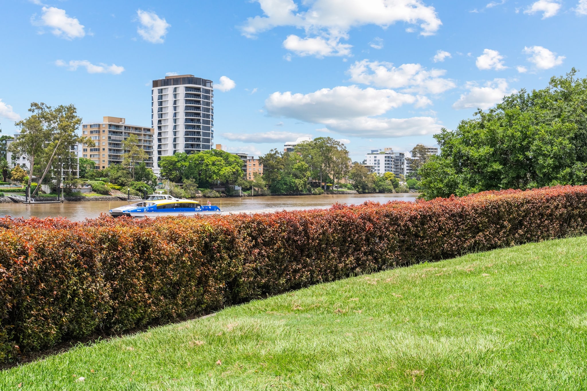 Family-Friendly Home in Vibrant West End