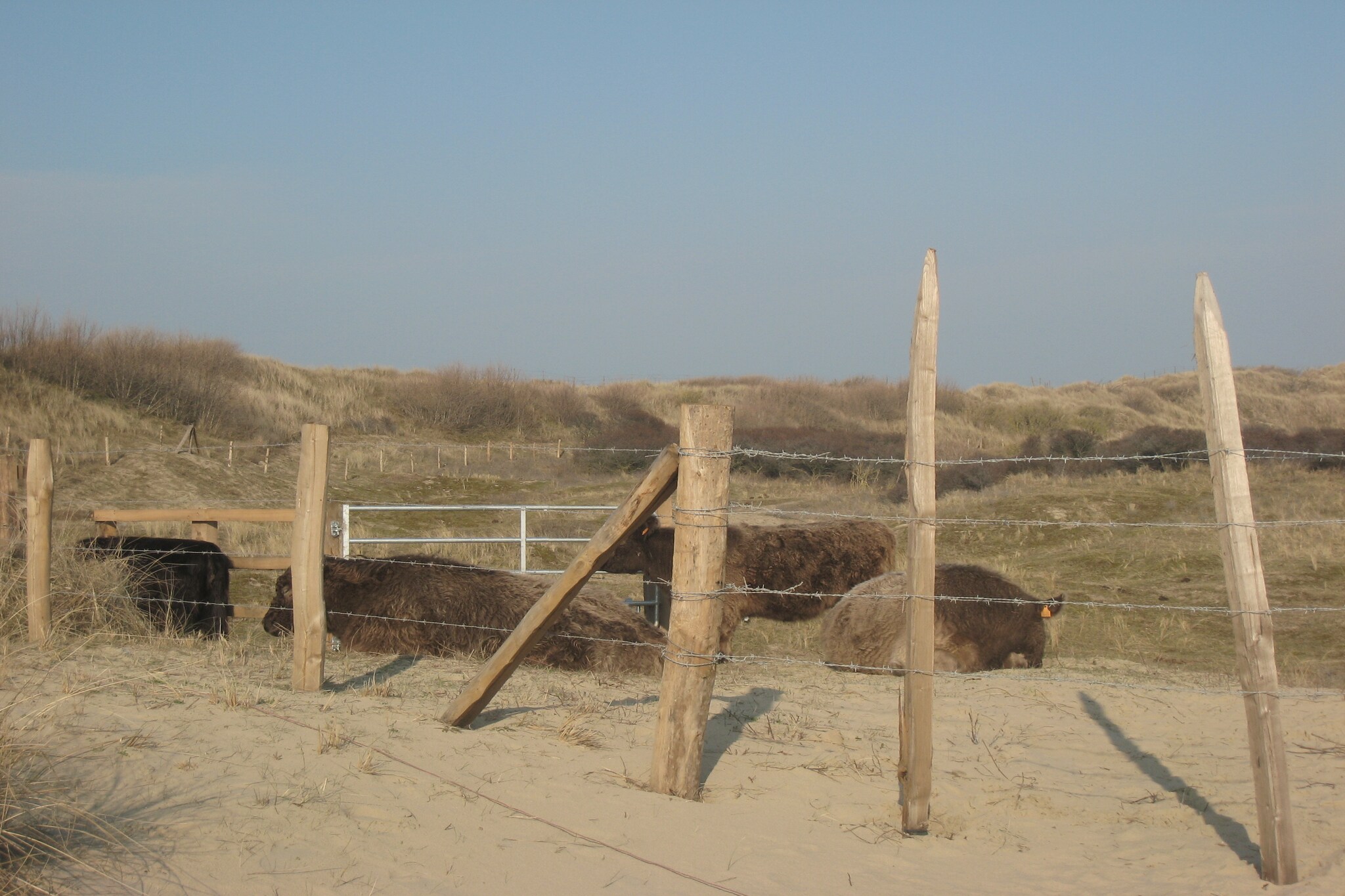 Vakantiehuis Bredene max. 4 personen 2 huisdieren 1 slaapkamer zwembad #25