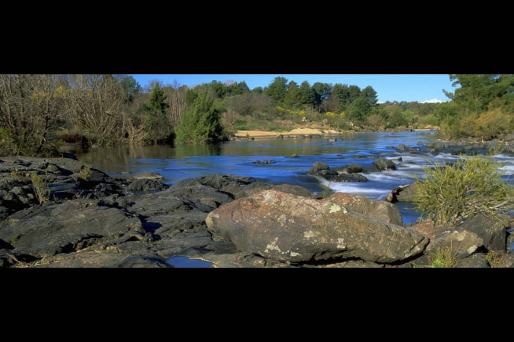 Cosy Kambah 1 Bedroom Near Shops & Parks