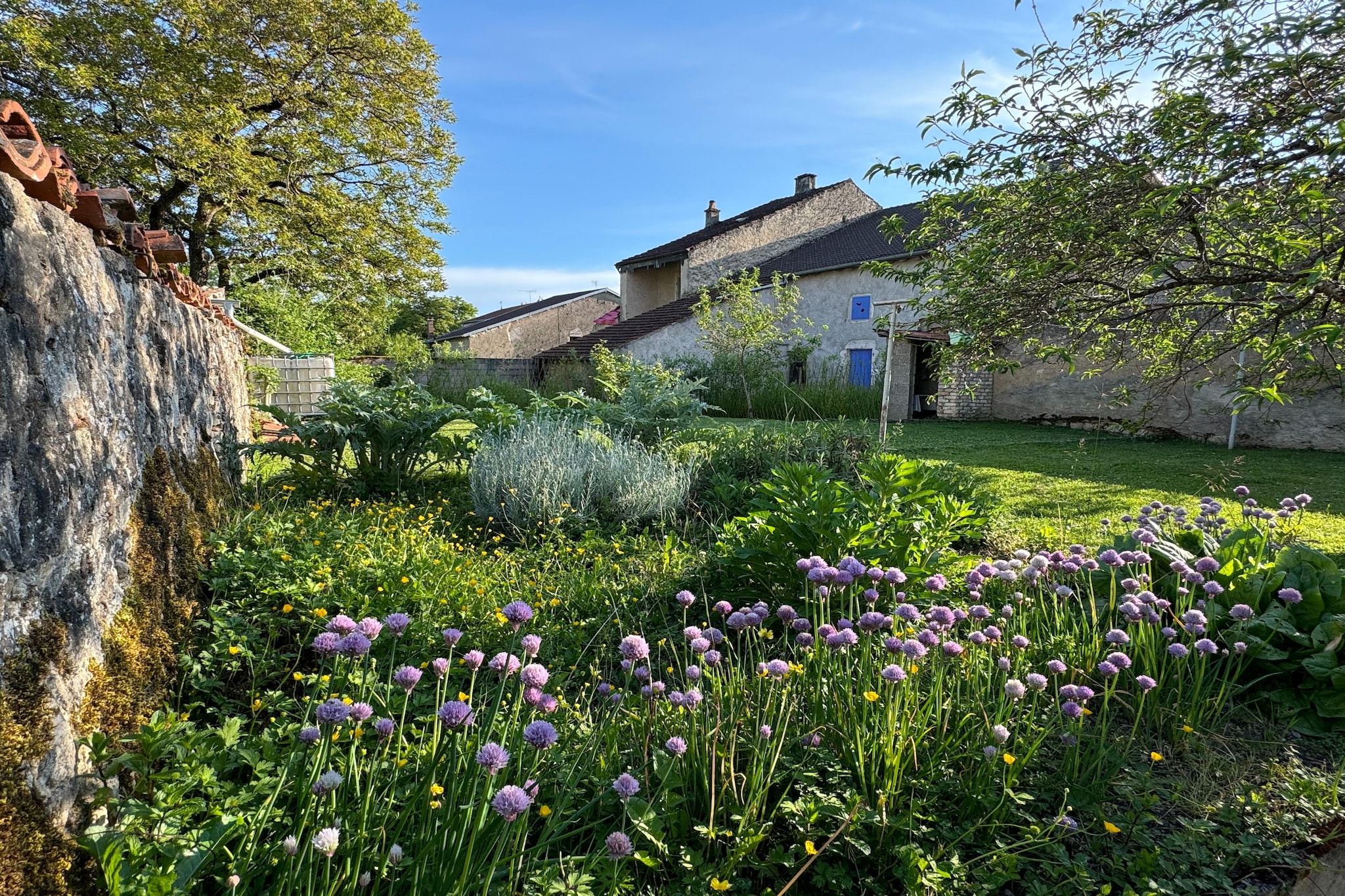 Garden Summer