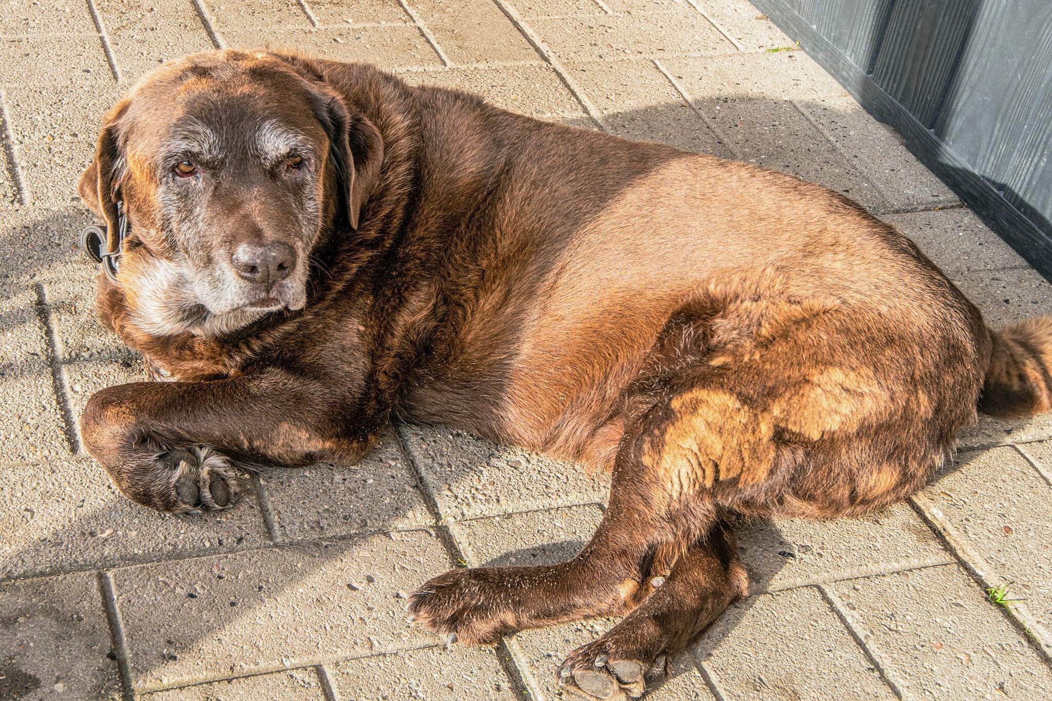 4 person holiday home in Højer-Indoor