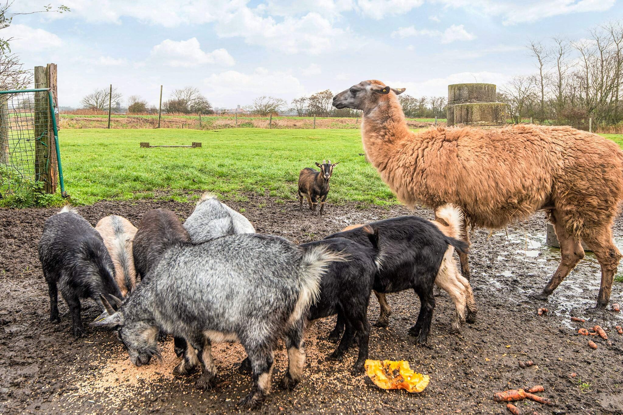 4 person holiday home in Højer-Indoor