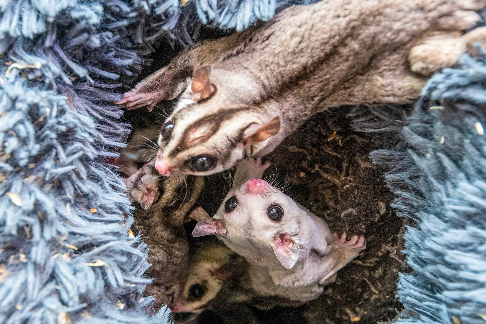 4 person holiday home in Højer-Indoor