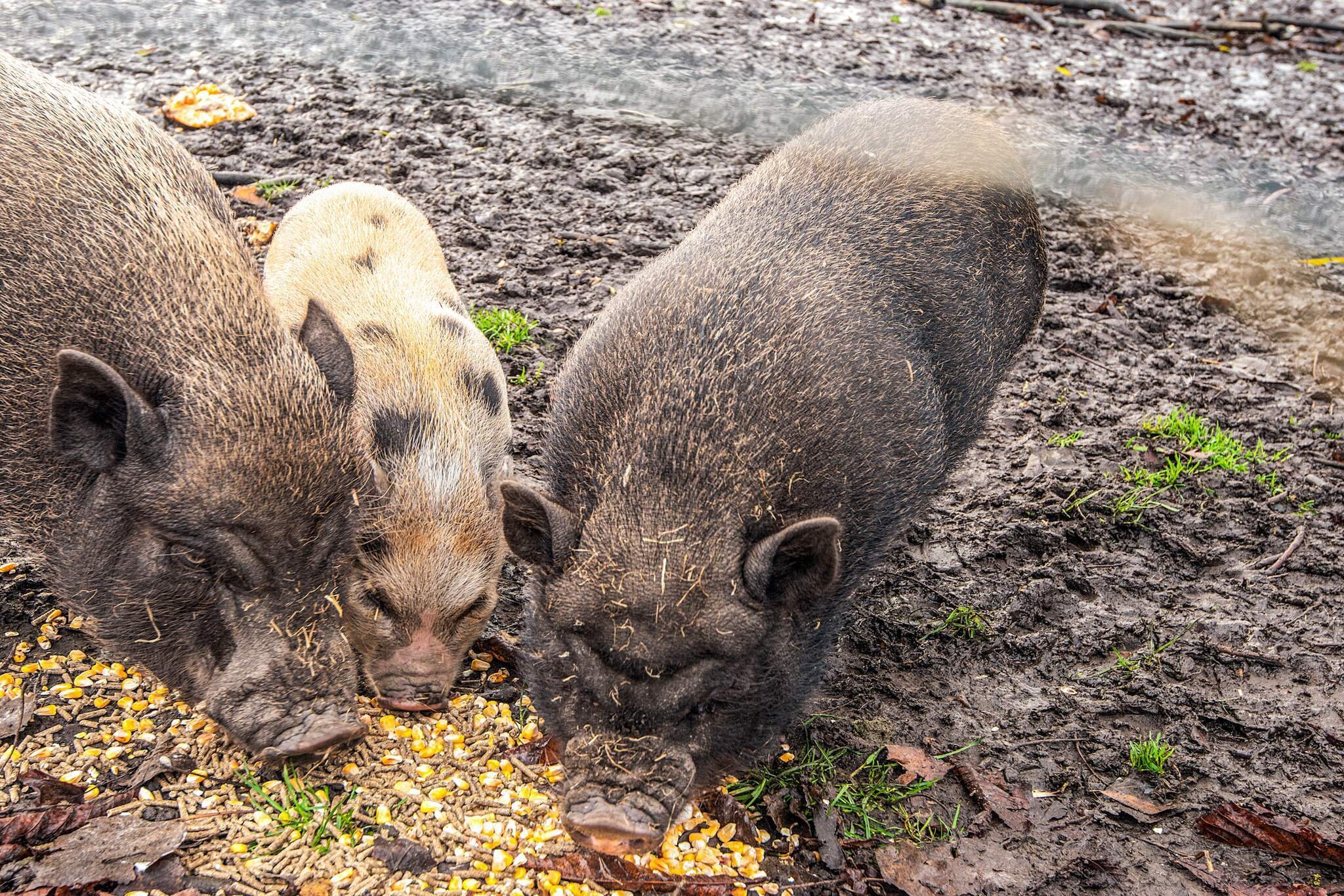 4 person holiday home in Højer-Untagged