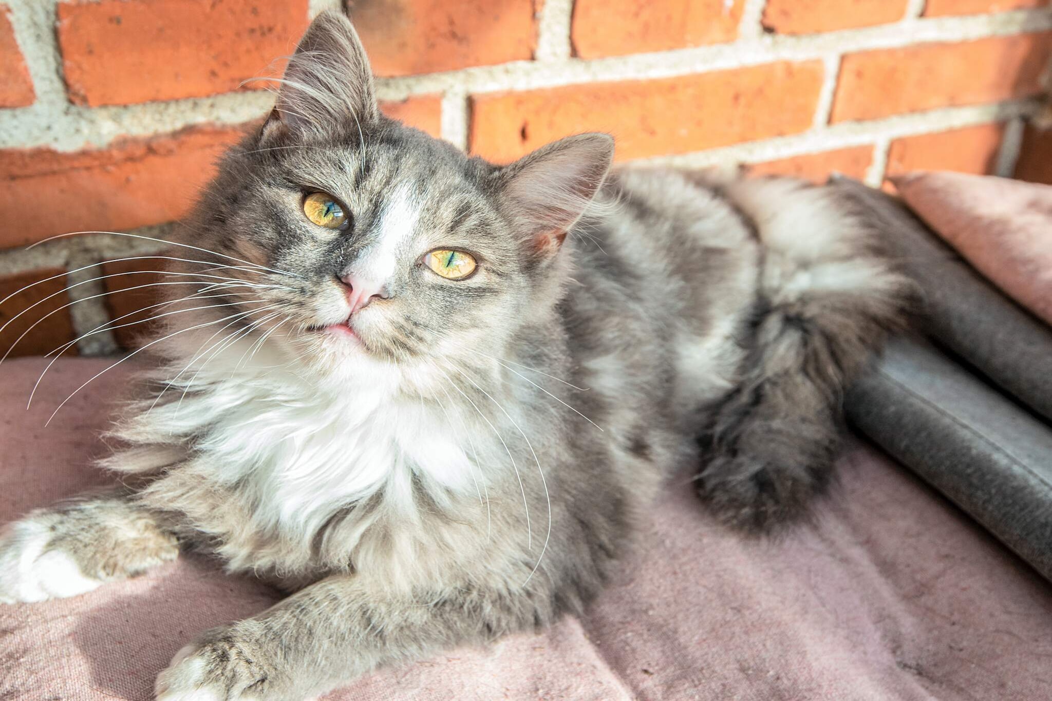 4 person holiday home in Højer-Untagged