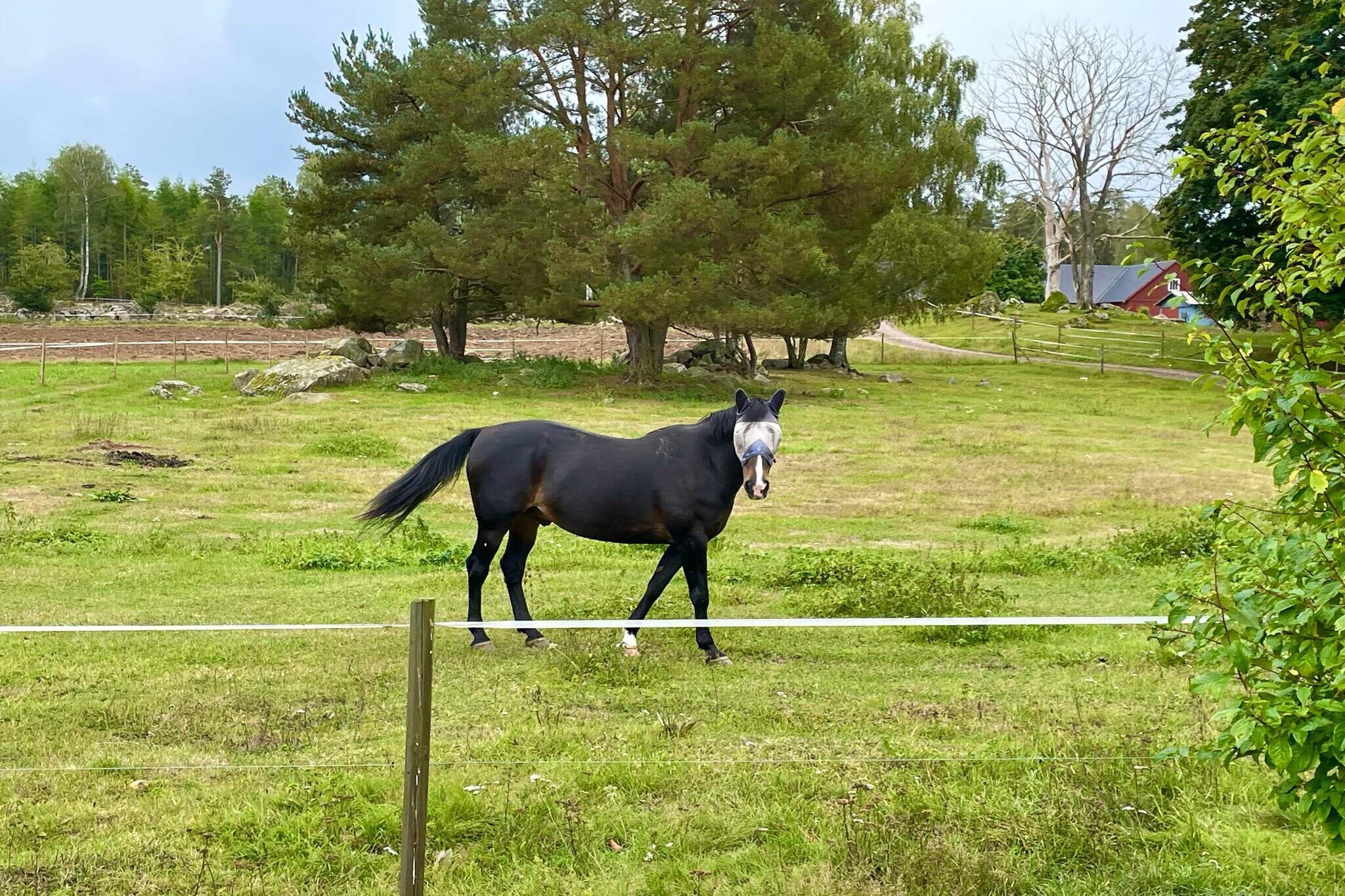 Natuurretraite op de boerderij in Berga-Niet-getagd