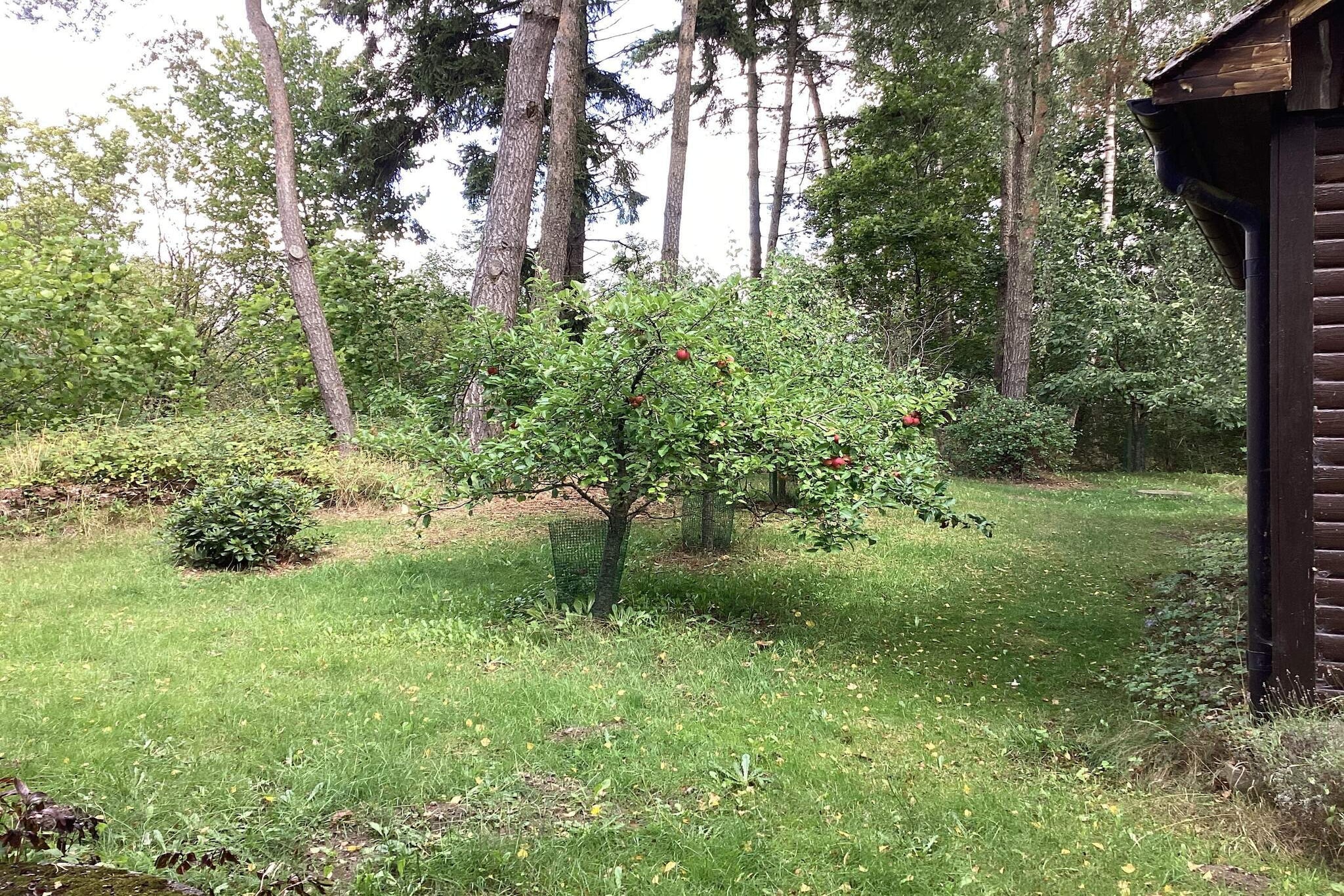 Maison de vacances pour 4 a SMEDSTORP
