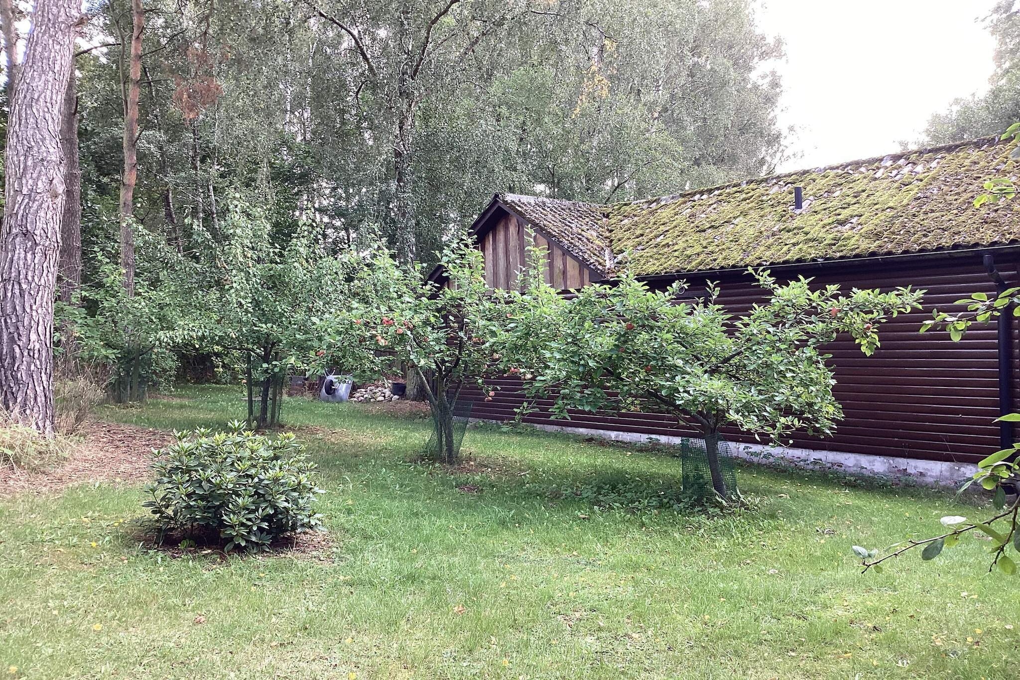 Maison de vacances pour 4 a SMEDSTORP-Extérieur