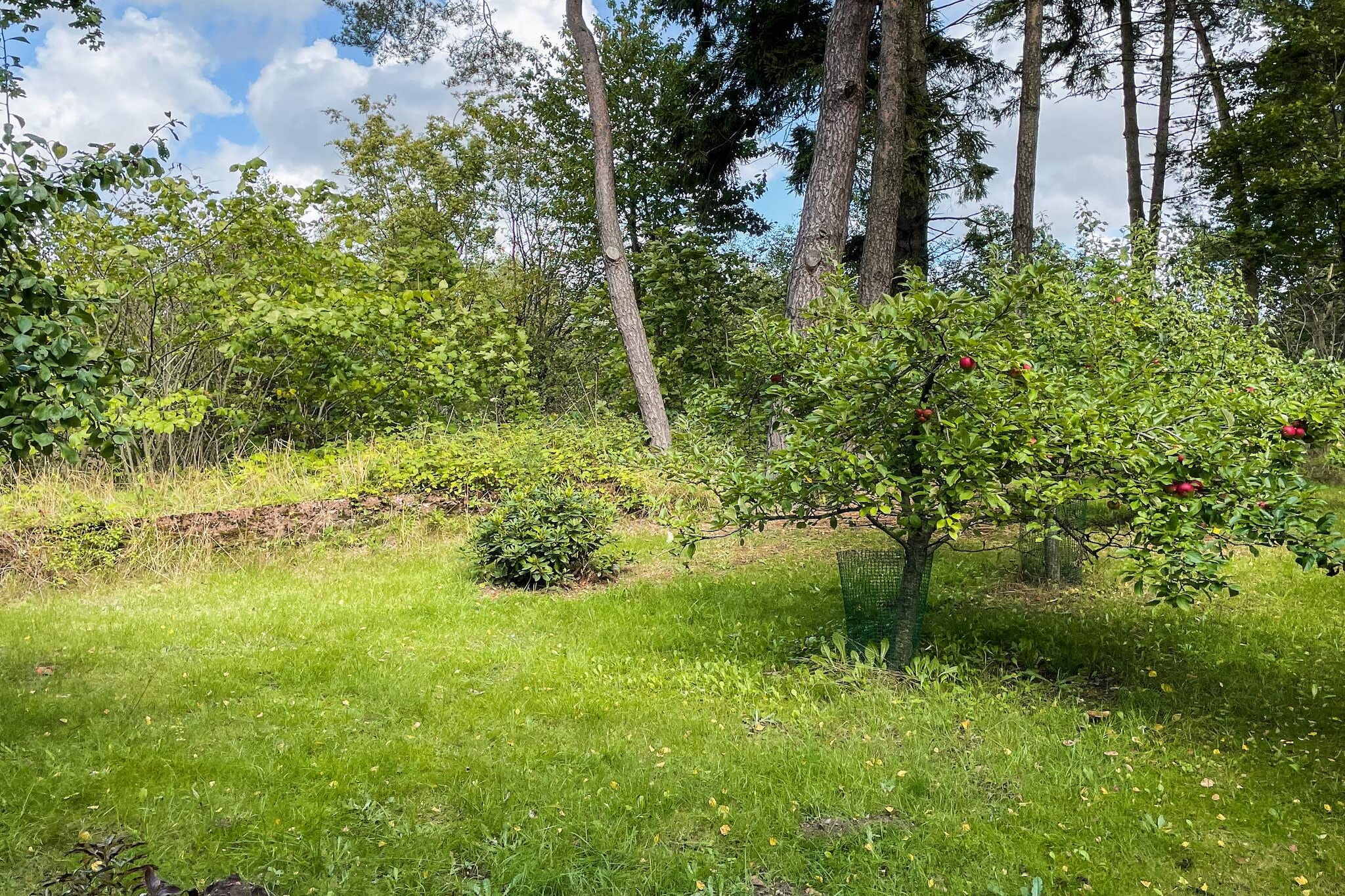 Maison de vacances pour 4 a SMEDSTORP-Extérieur