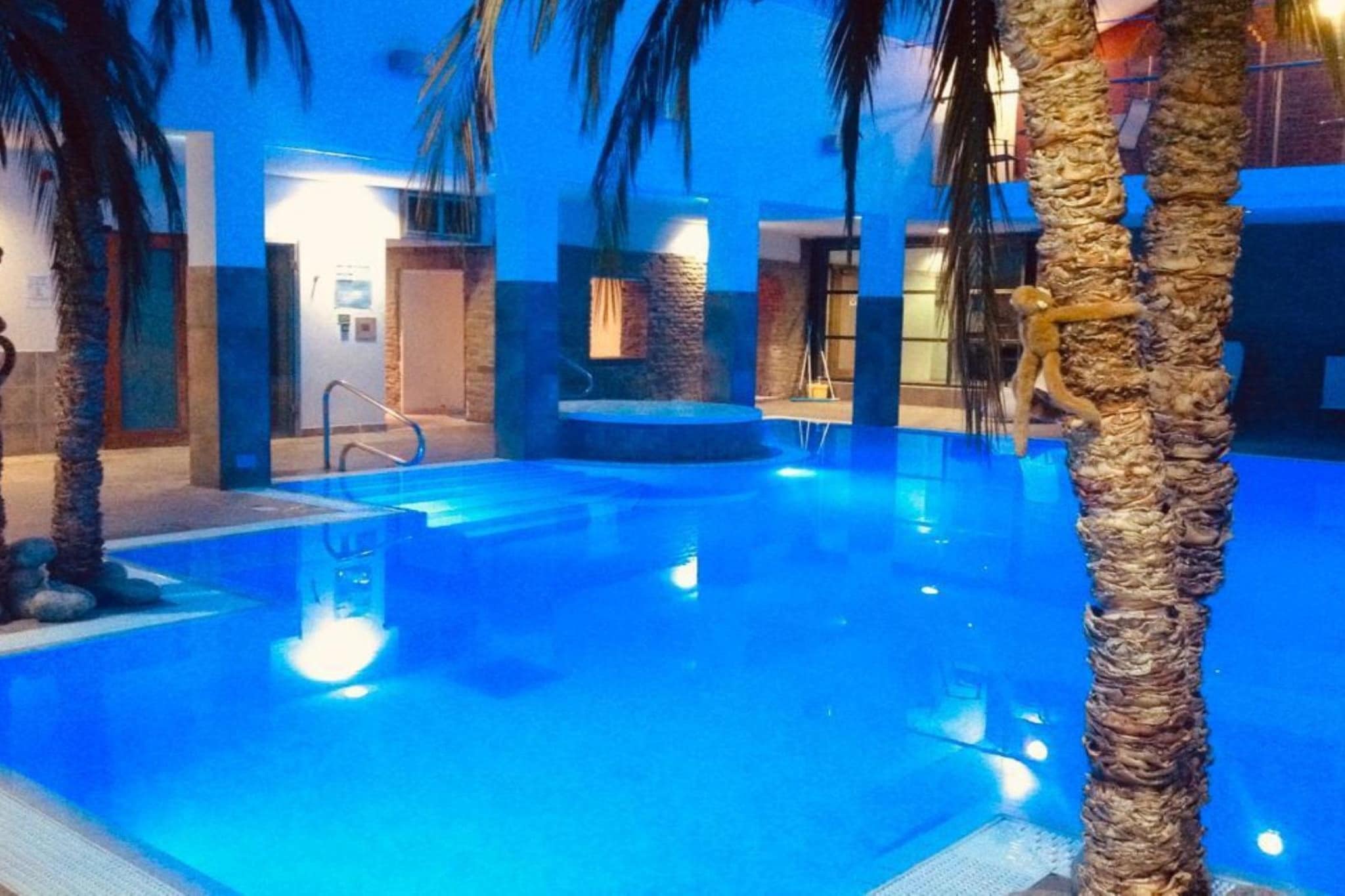 Elizabeth House - Swimming pool