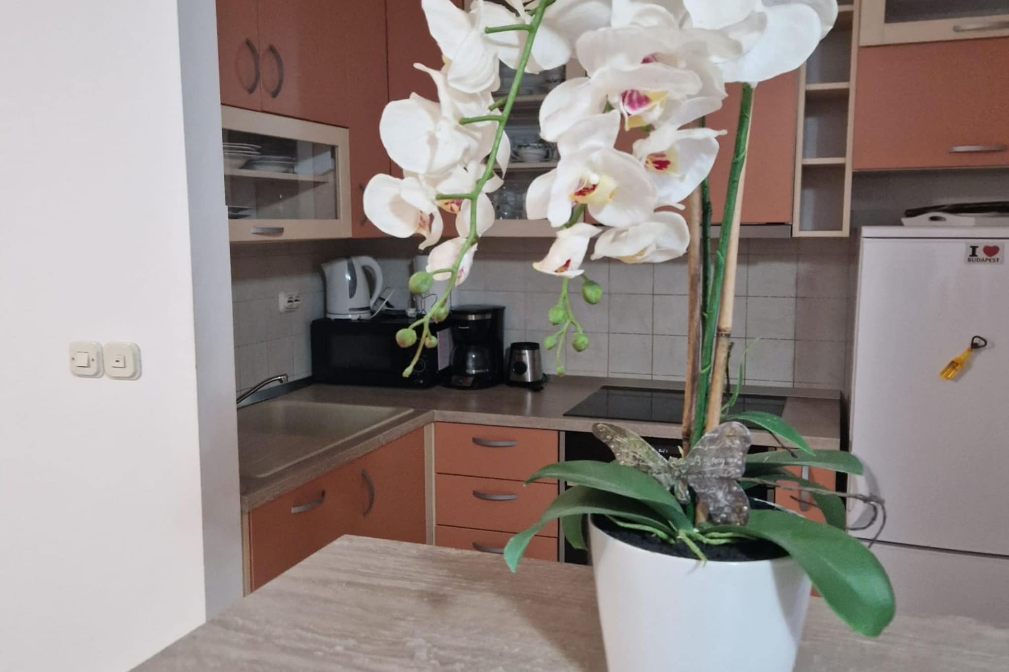 Apartment Antonia Trogir - Two-Bedroom Apartment With Sea View-Keuken