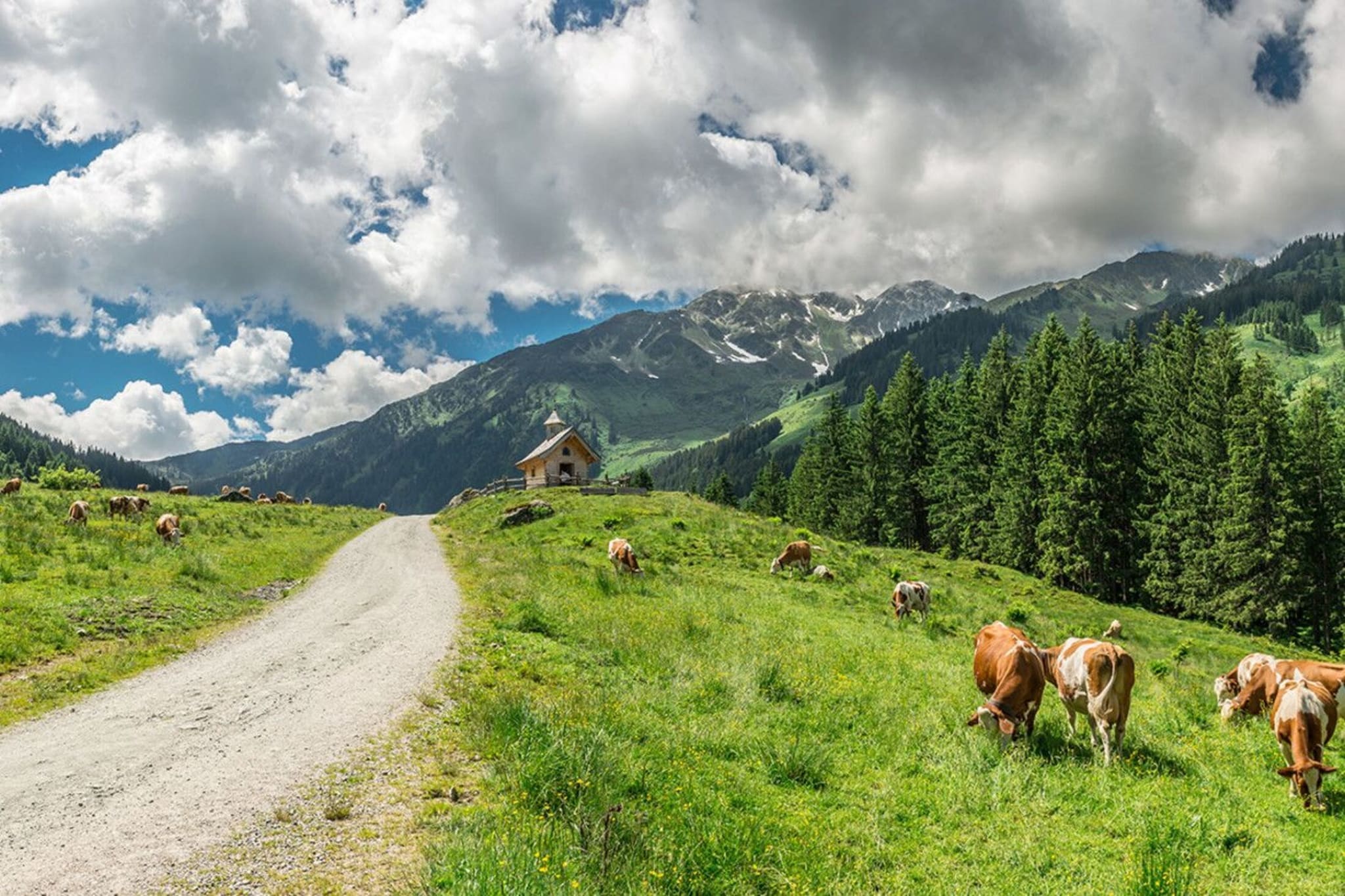 Feriendorf Wildschönau - Zauberwinkl-Gebieden zomer 5km