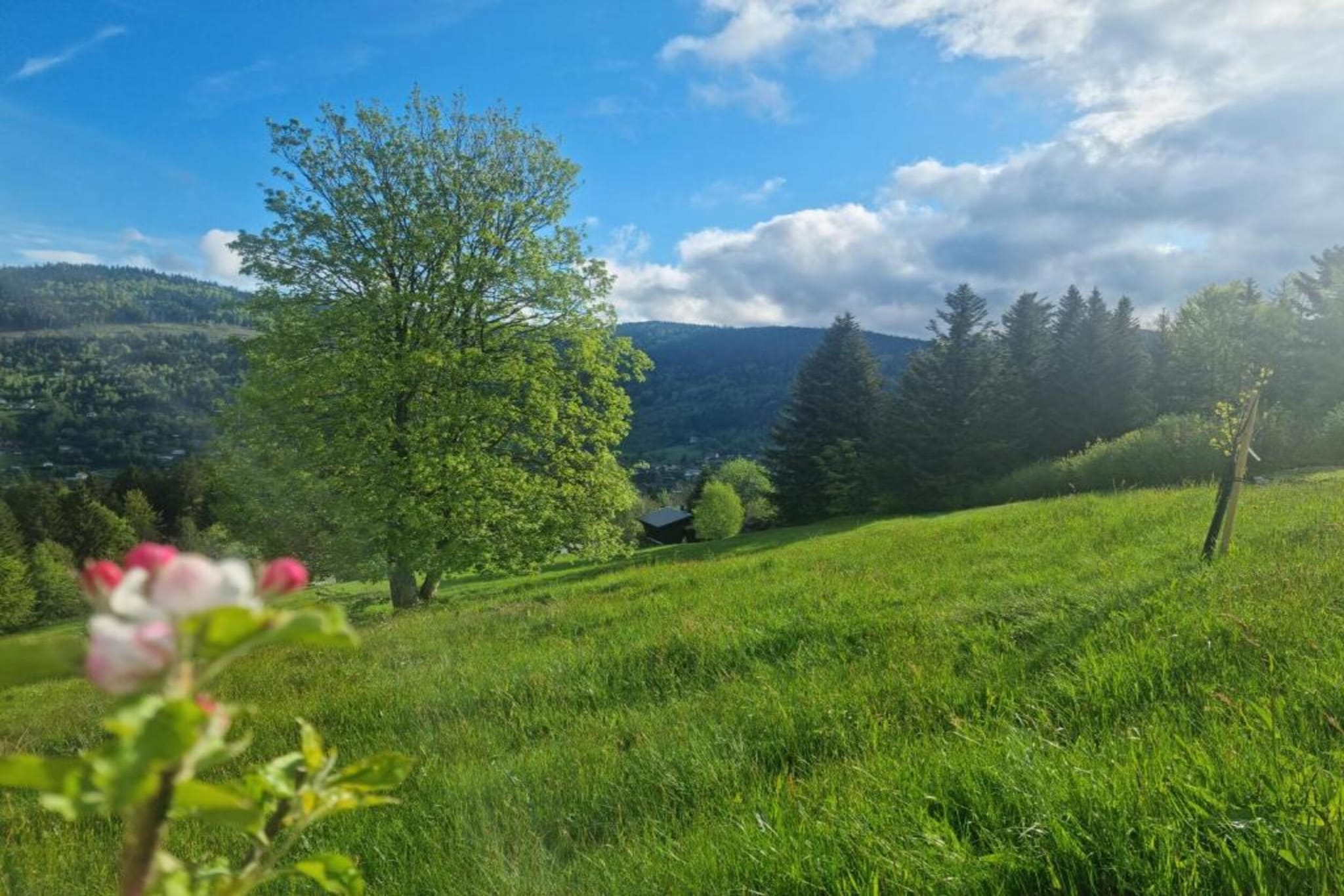 La Bergerie-Gebieden zomer 20km