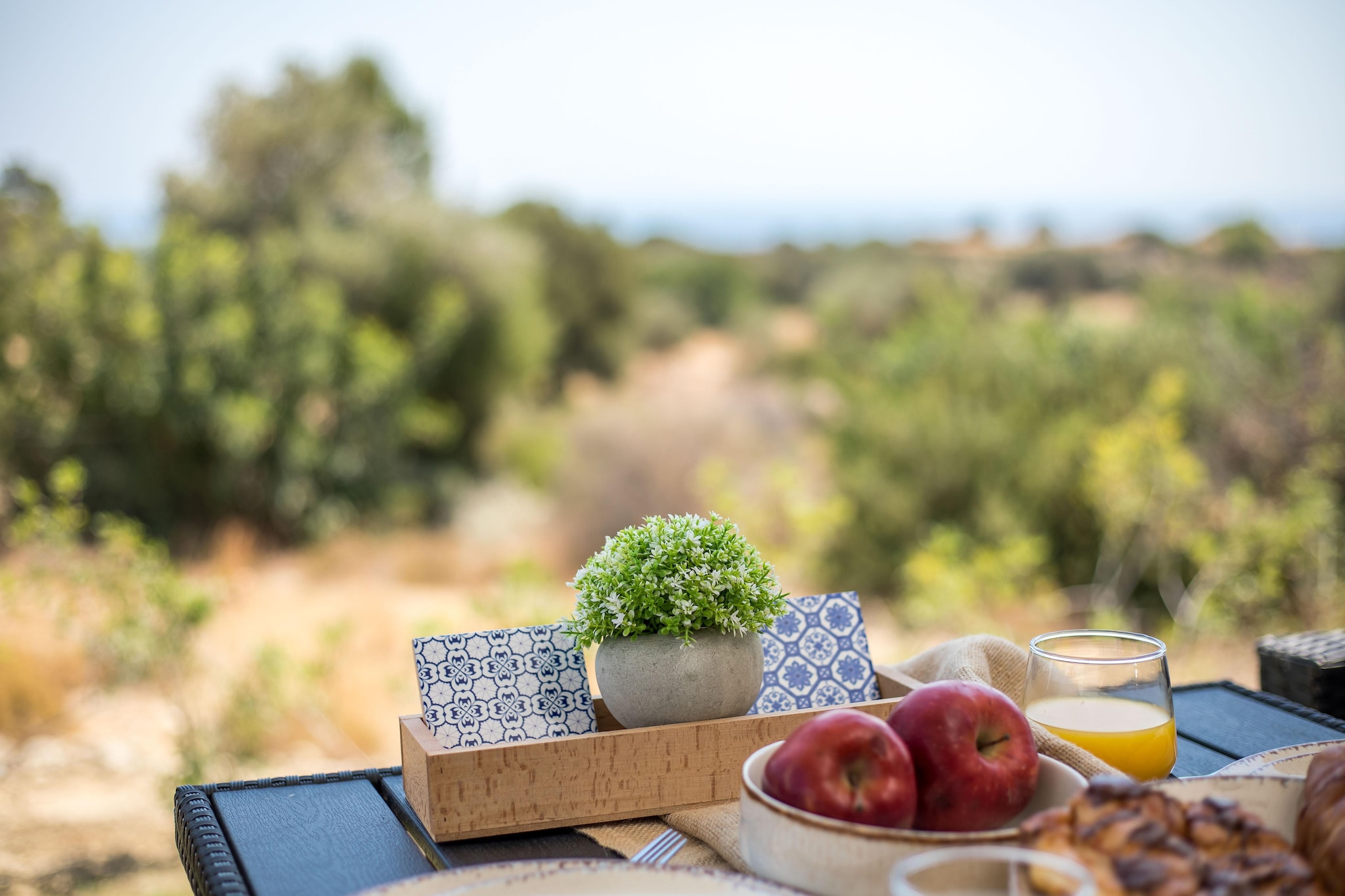 EMARMENE AGROTOURISTIC - Ambiente