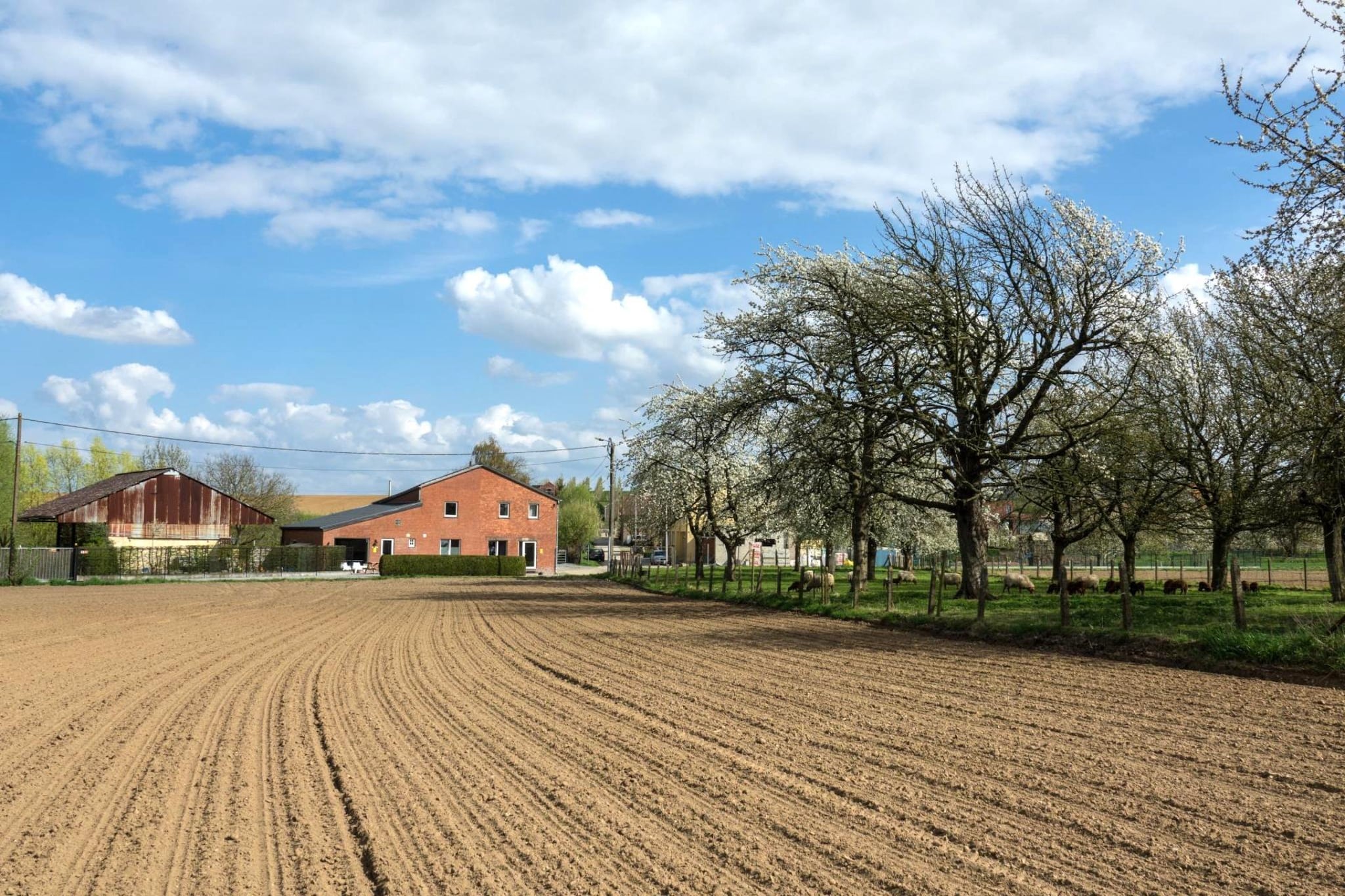 Arends nest-Zones été à 1 km