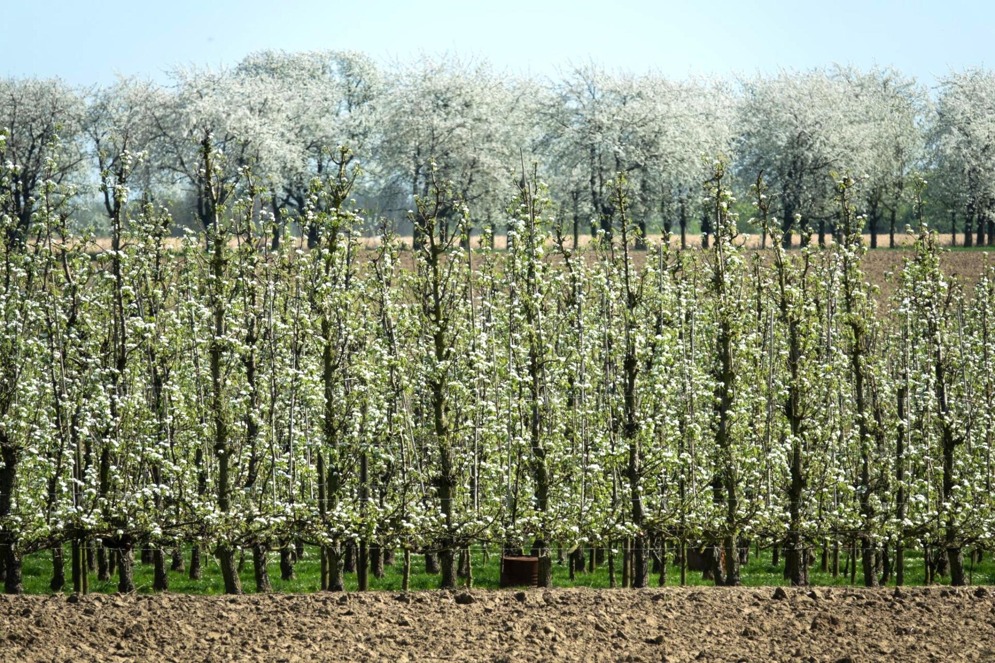 Arends nest-Zones été à 1 km