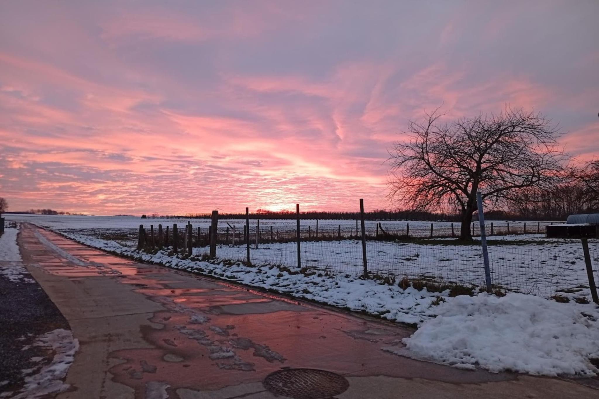 Arends nest-Zones hiver à 1 km