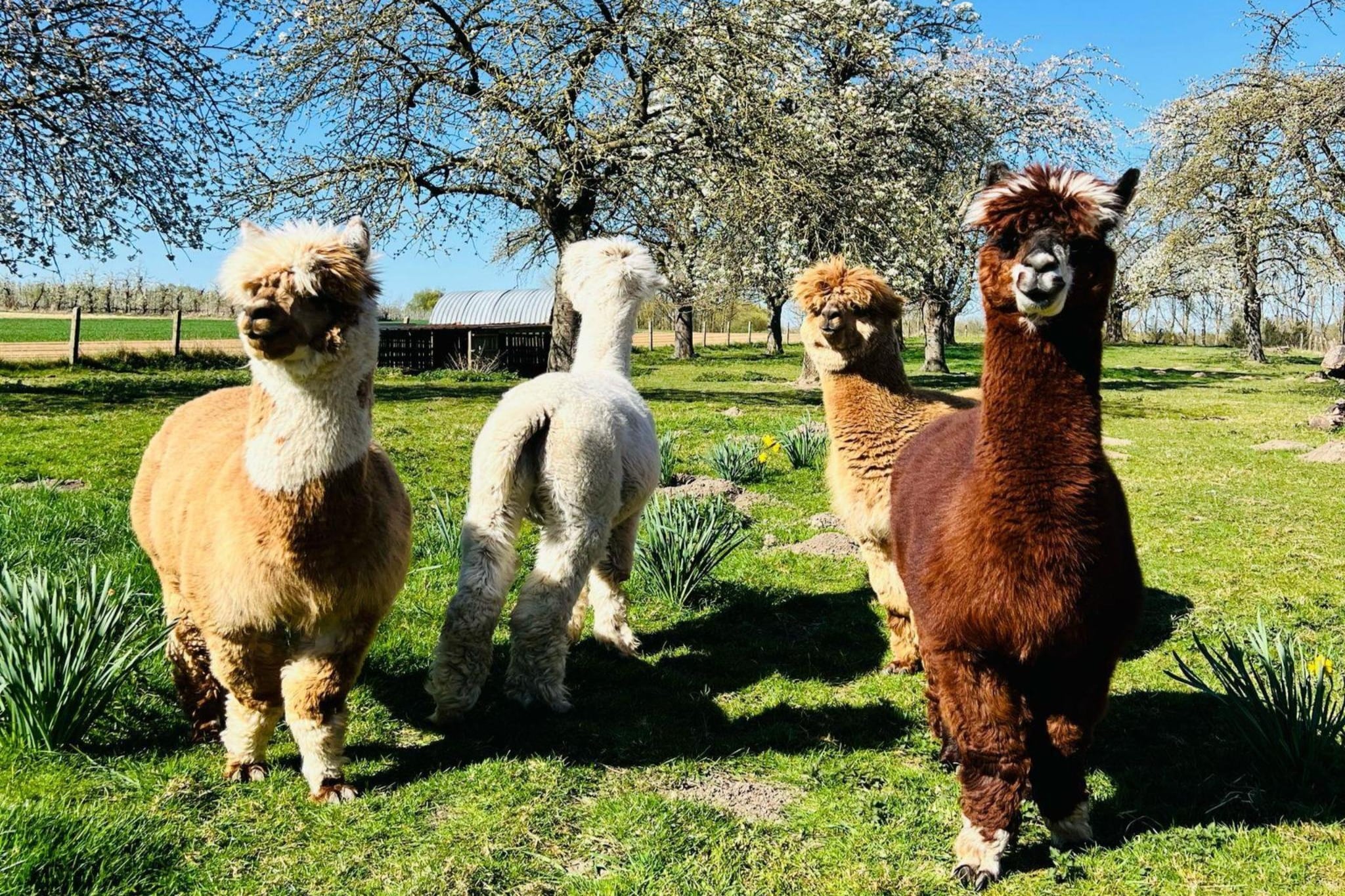 Huis van de raaf-équipements