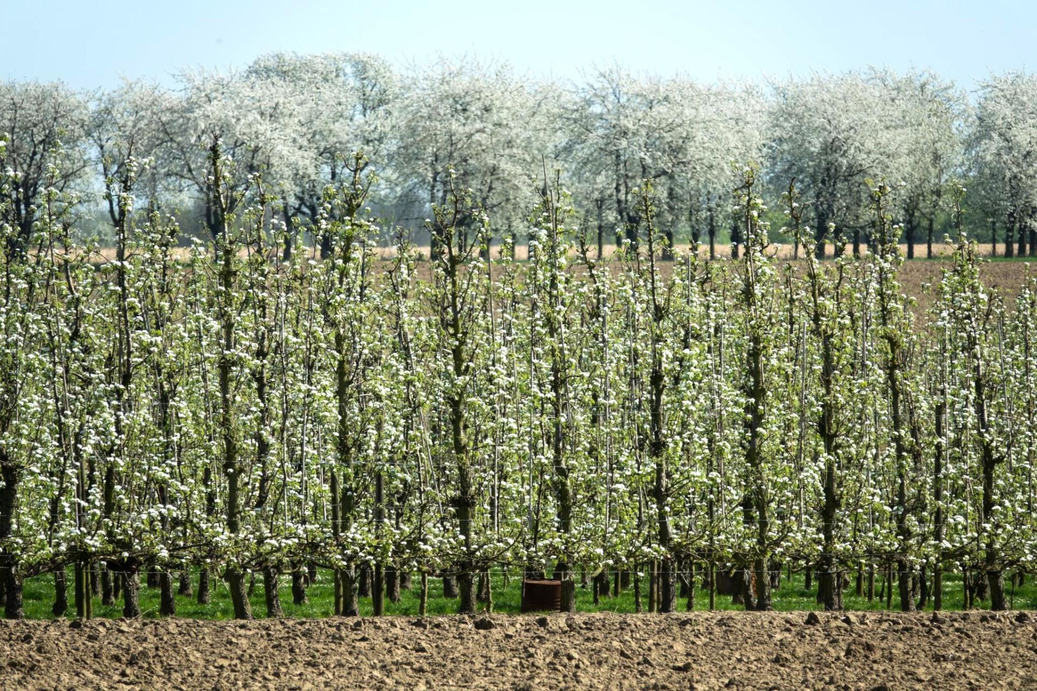 Huis van de raaf-Zones été à 5 km