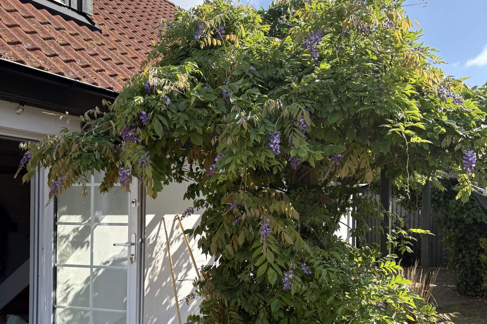 5 etoiles maison de vacances a Löderup