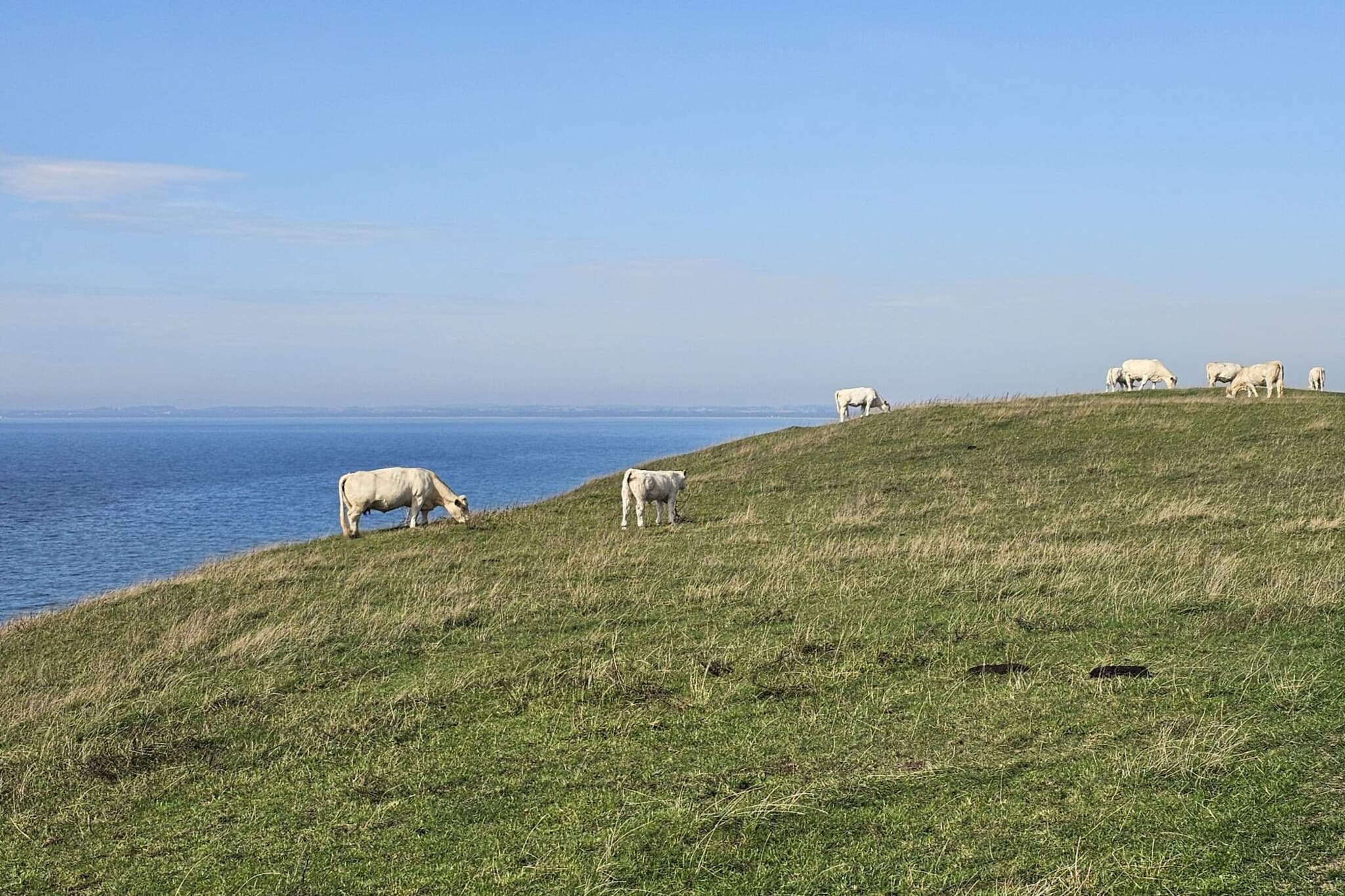 5 etoiles maison de vacances a Löderup-Non tagué
