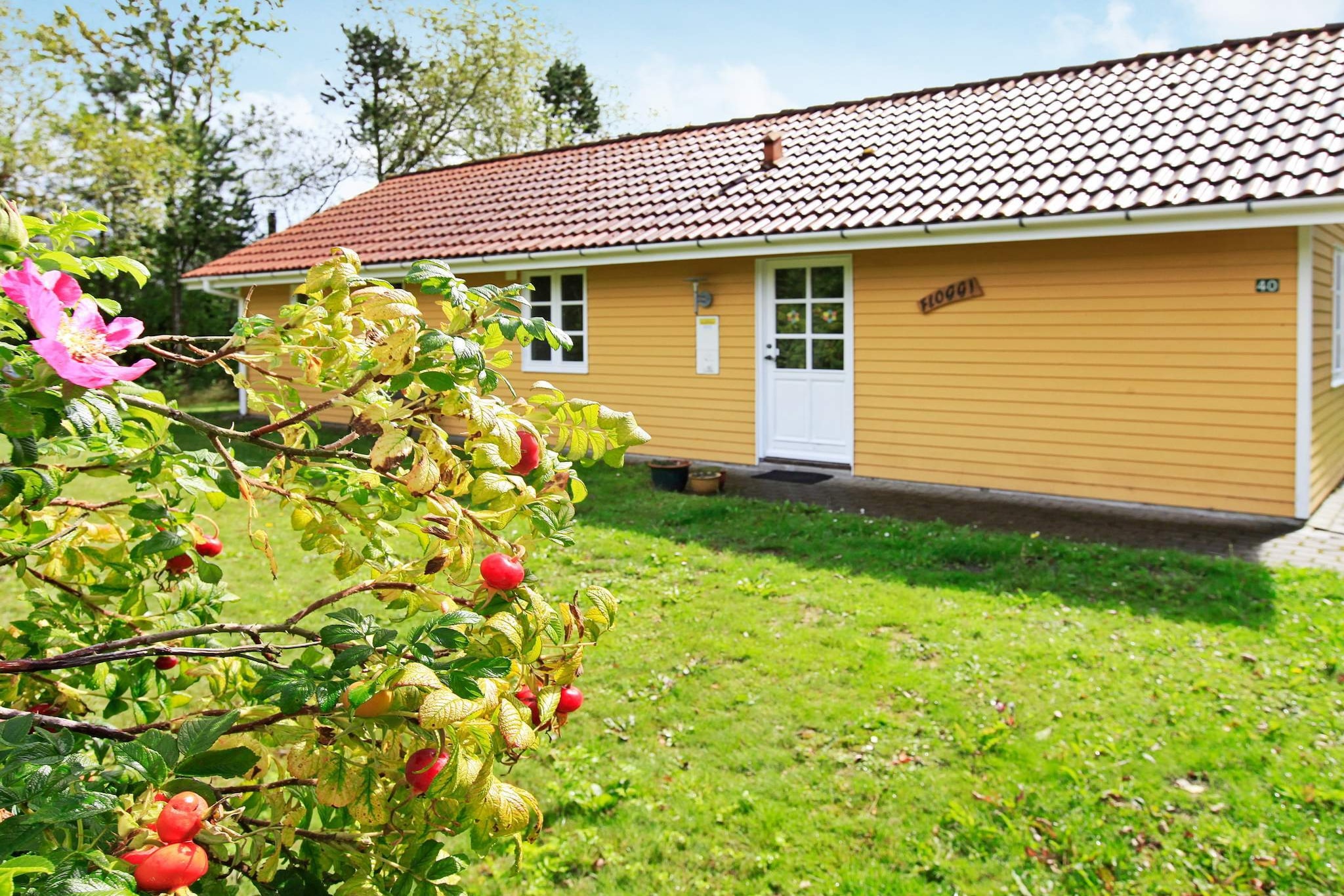 4 Sterne Ferienhaus in Oksbøl-Aussicht