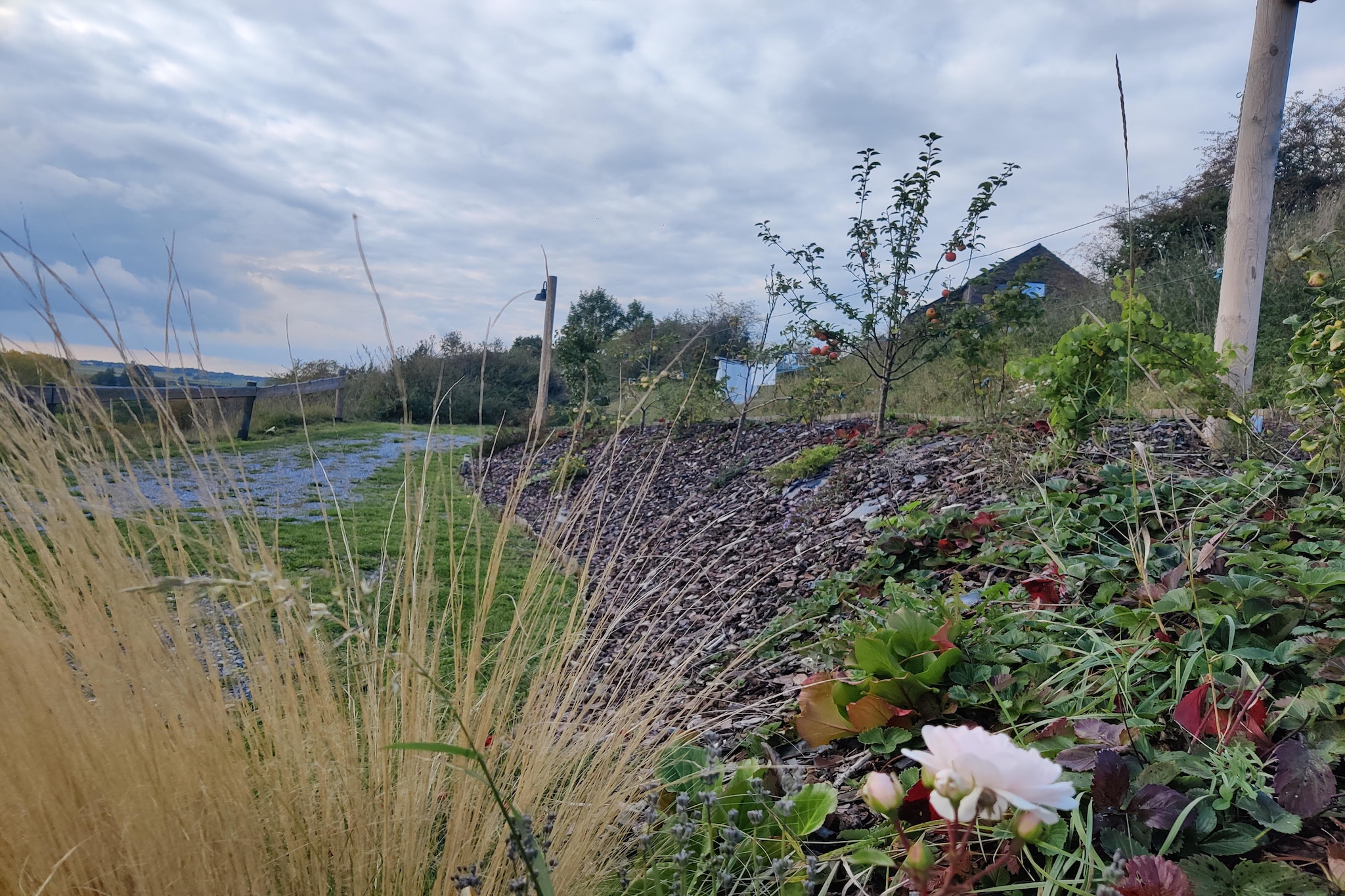 Appartement Terrasse 2/2-Zones été à 1 km