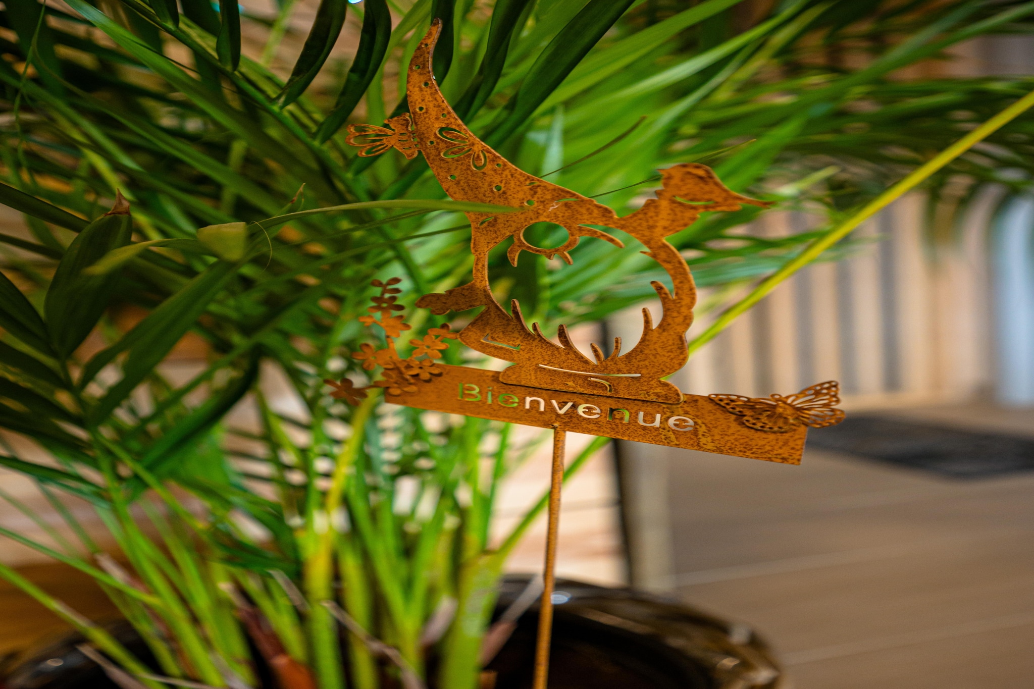 Appartement Spa Vip 2/3-Ambiance