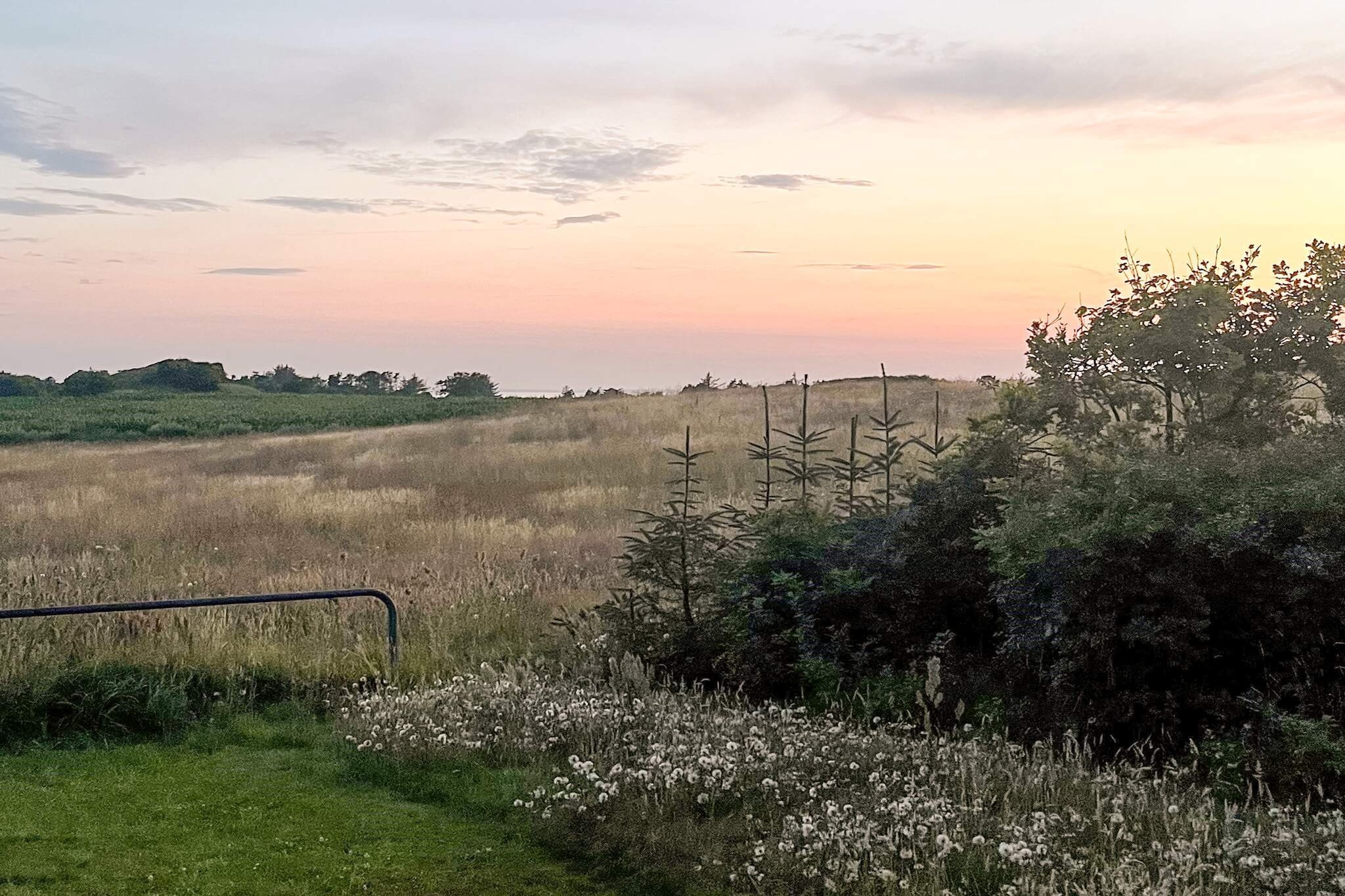 4 Sterne Ferienhaus in Løgstør-Aussicht