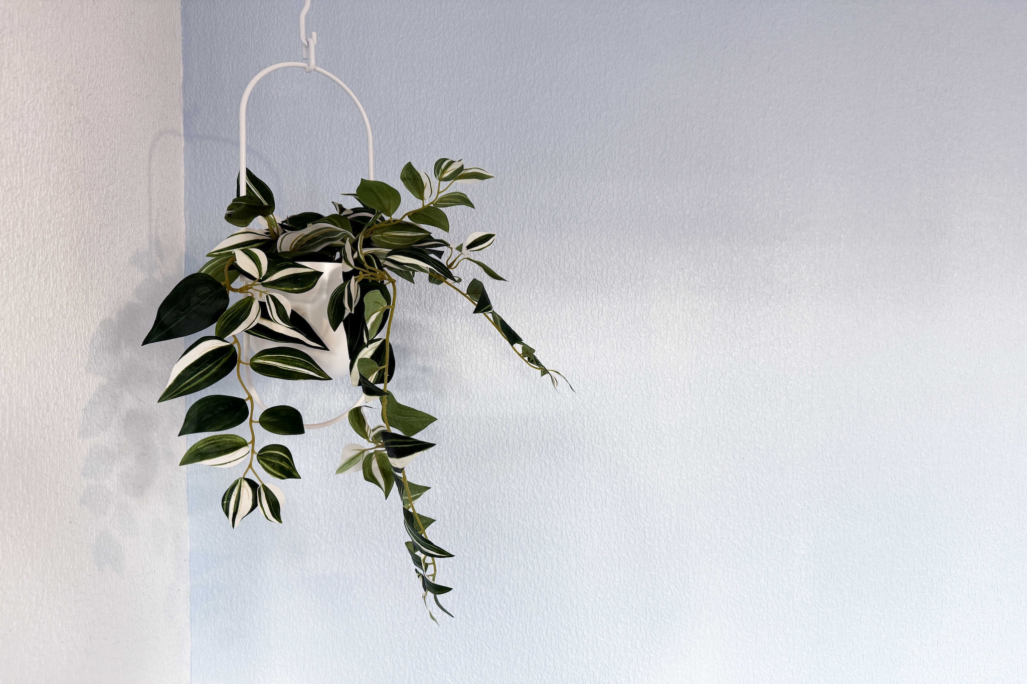 JB-16-AINAY-SYLVESTRE-2-Niet-getagd