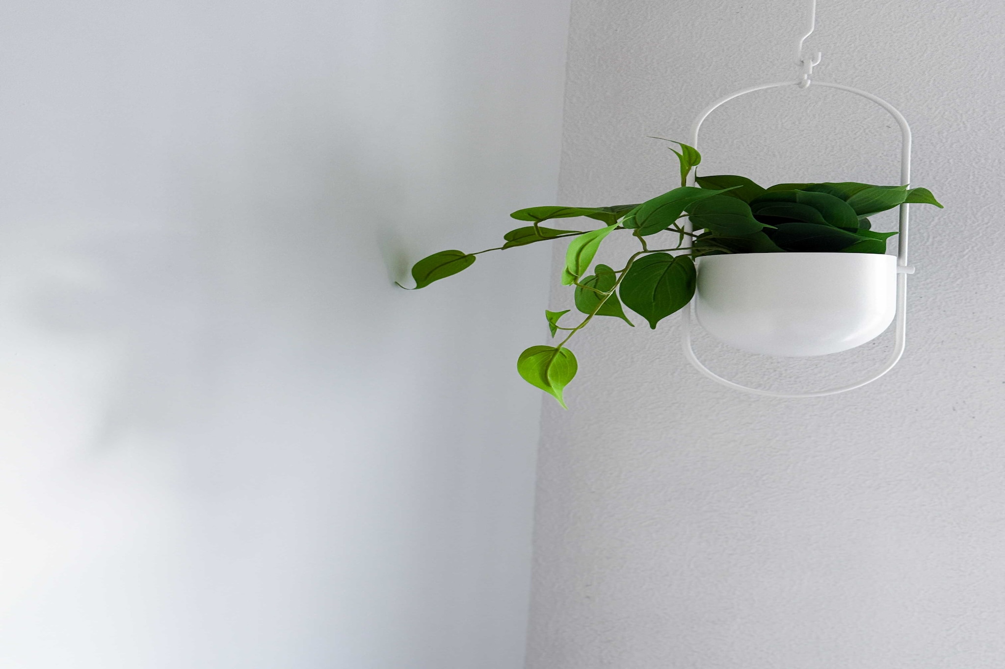 JB-16-AINAY-SYLVESTRE-2-Niet-getagd