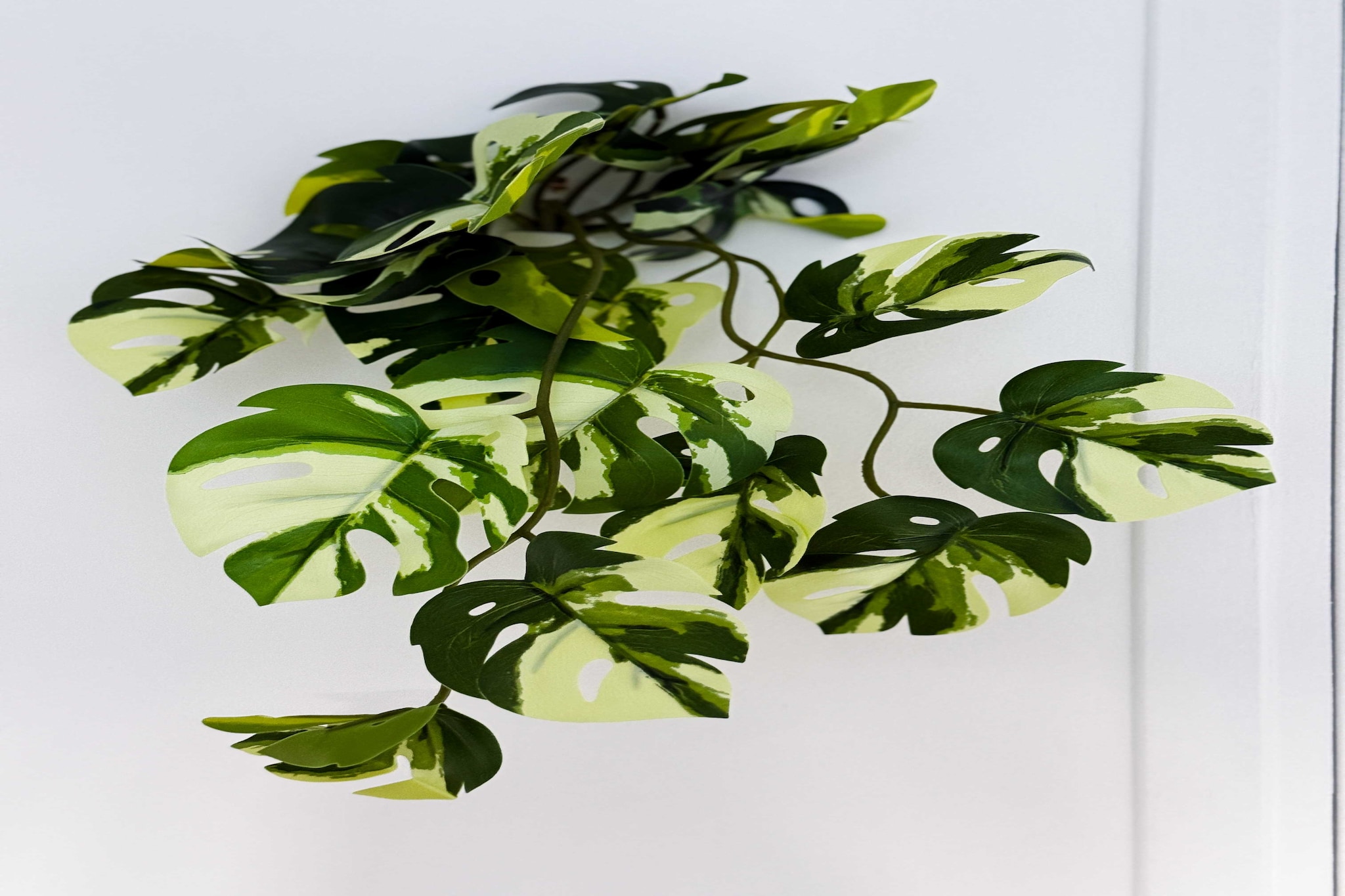 JB-16-AINAY-SYLVESTRE-2-Niet-getagd