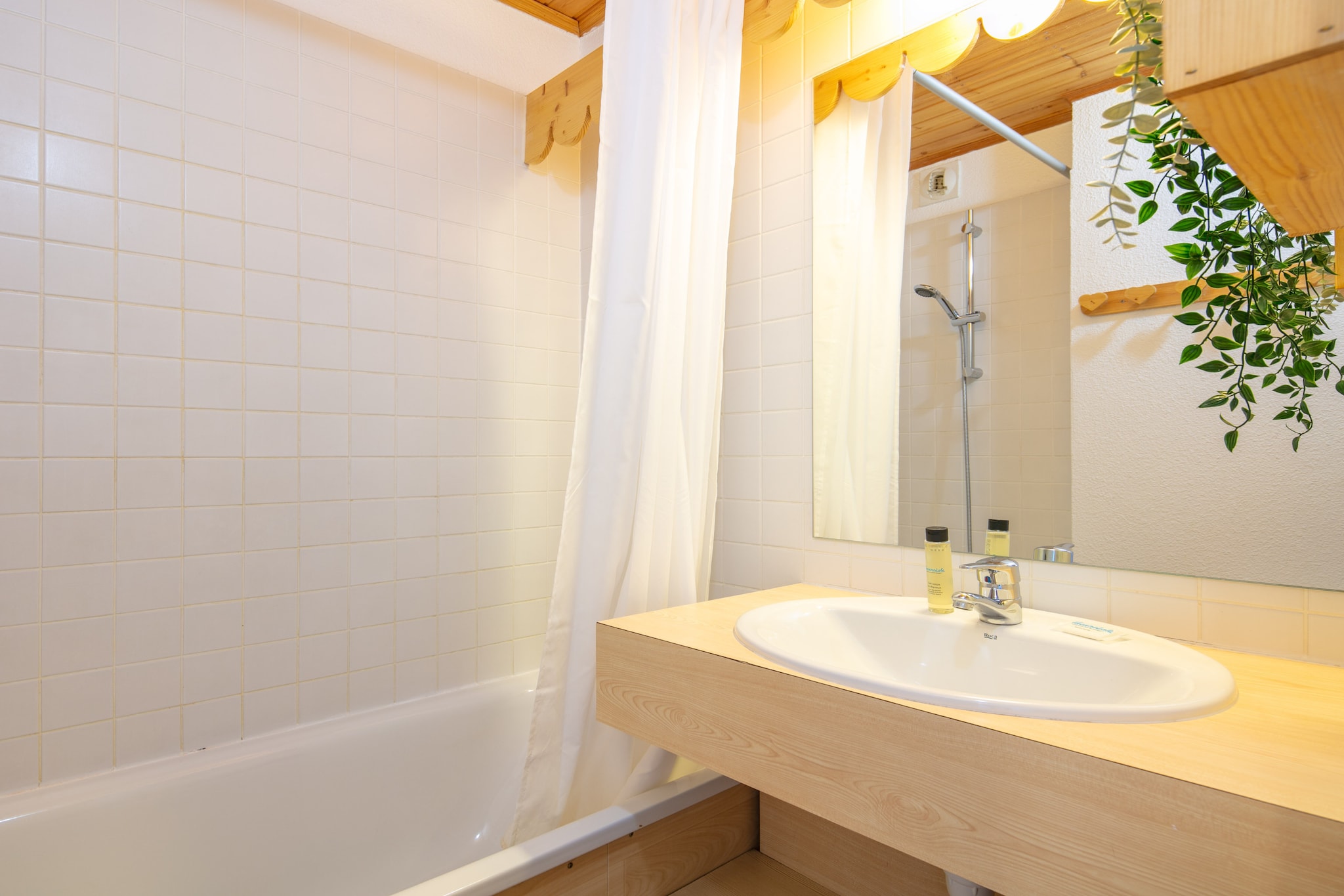 Vega N°501 - 2P5-Badezimmer