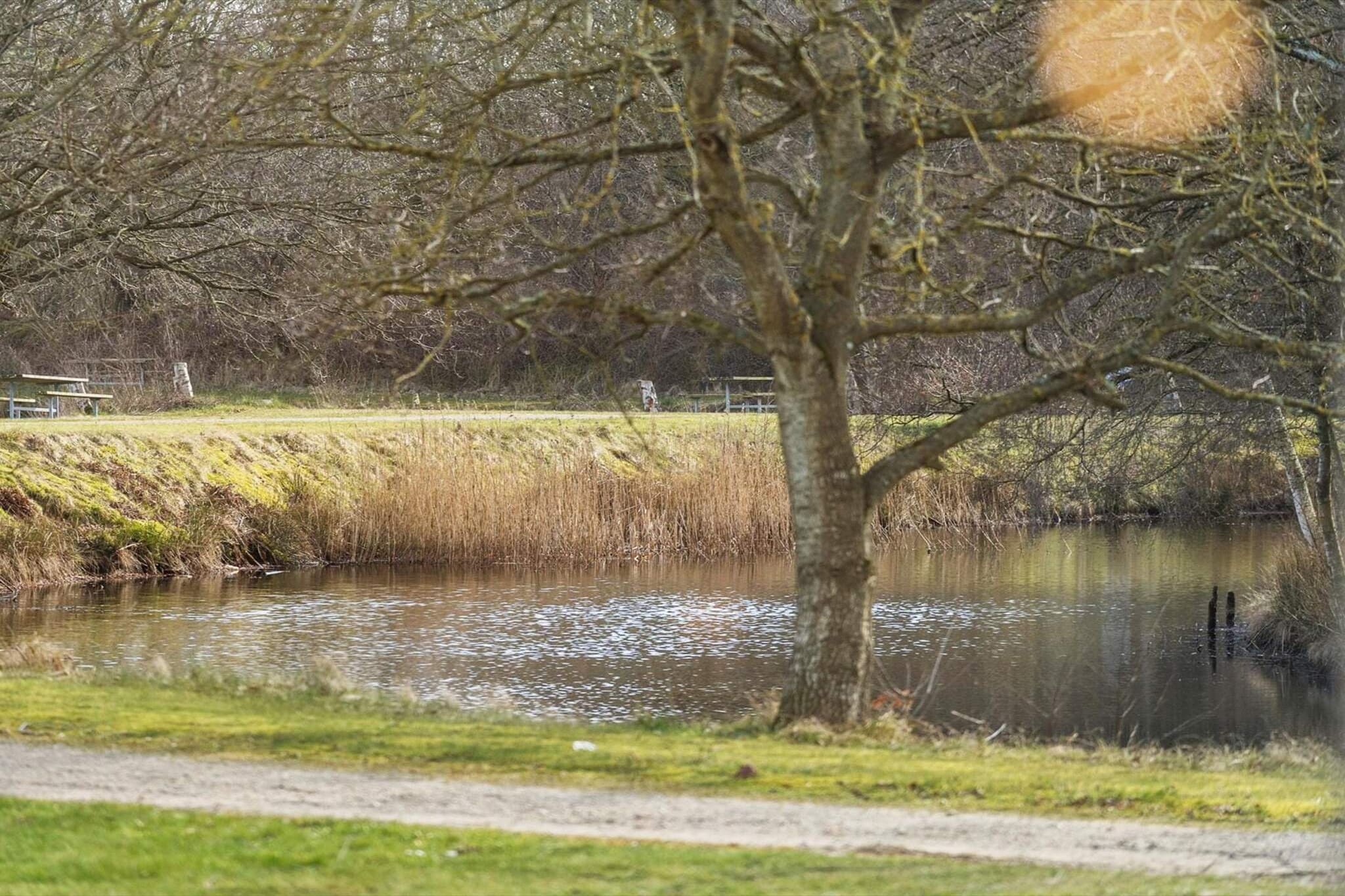 Holmsland Klit