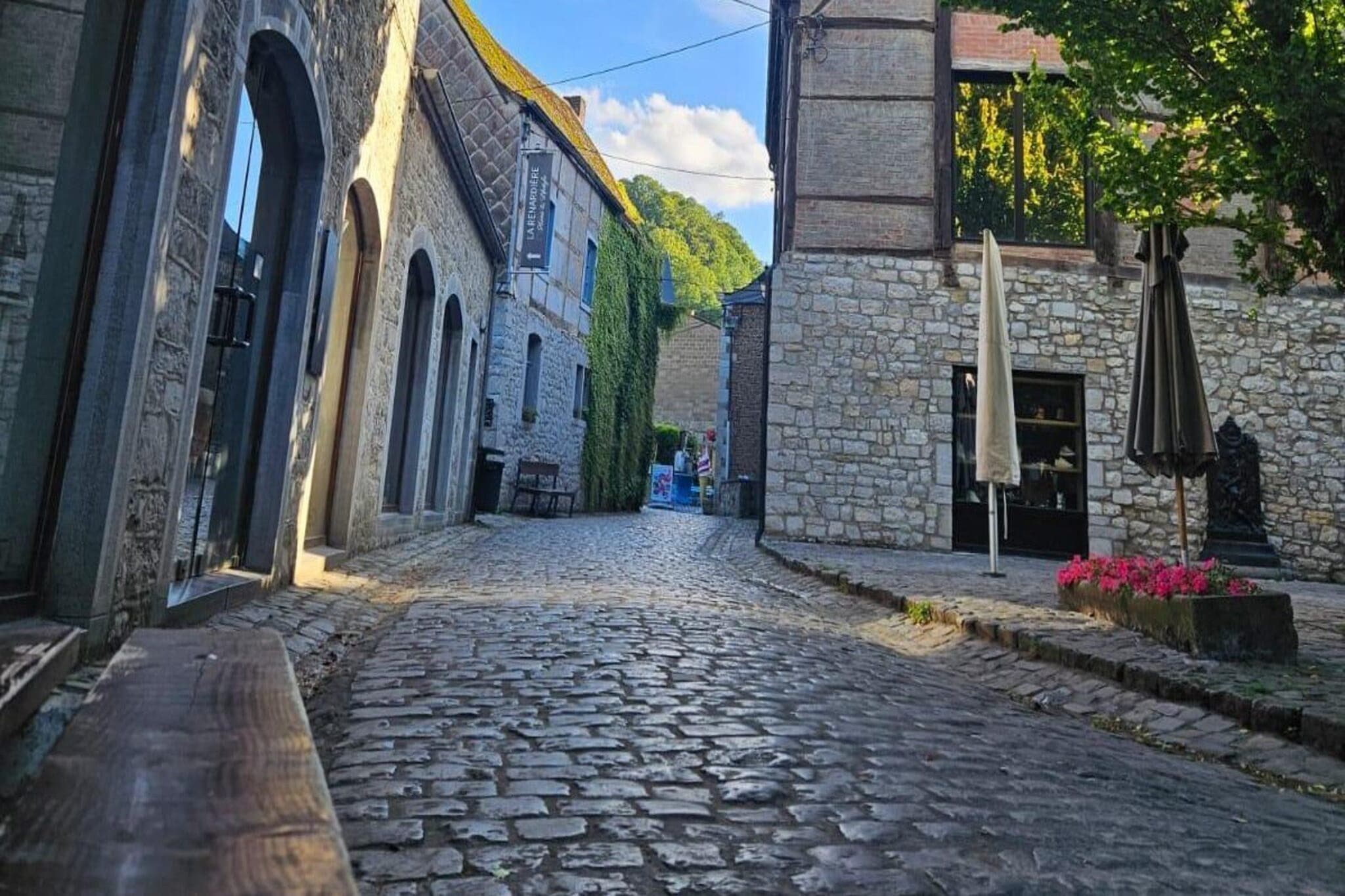 Le reflet de l’Ourthe-Gebieden zomer 1km