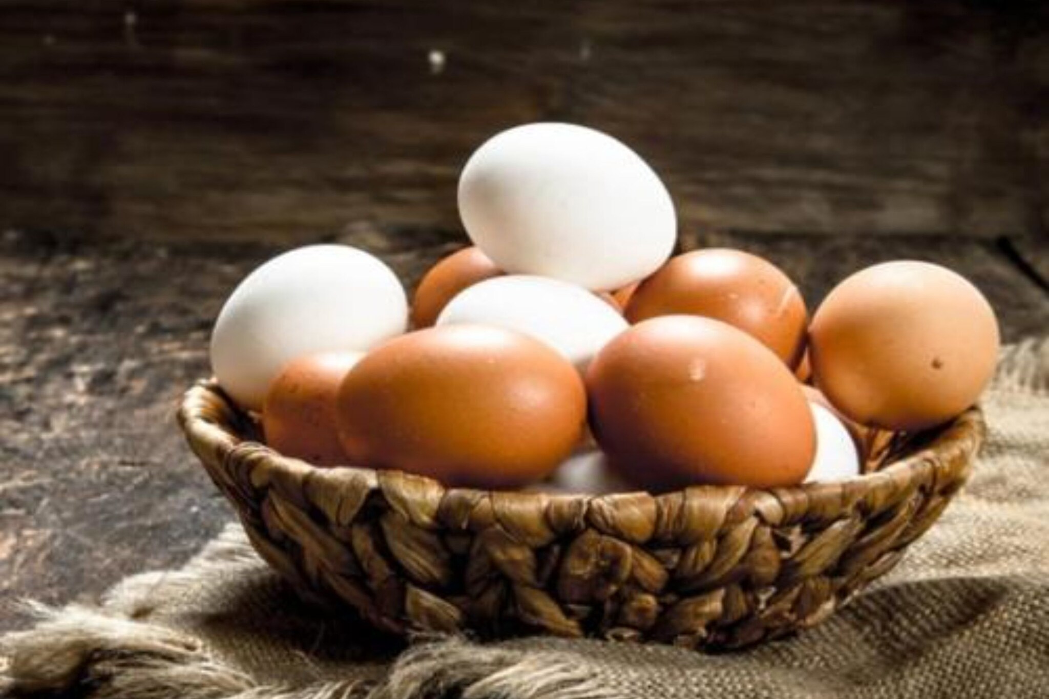 Ground floor: (Kitchen(fridge), Living/bed room(double sofa bed), bedroom(2x single bed), bedroom(double king size bed), bathroom(toilet, shower))\n\ndining room, Play area, TV, dining table, stove, seating area, electric kettle, oven, freezer, cot, terrace, BBQ, parking, play equipment, hairdryer