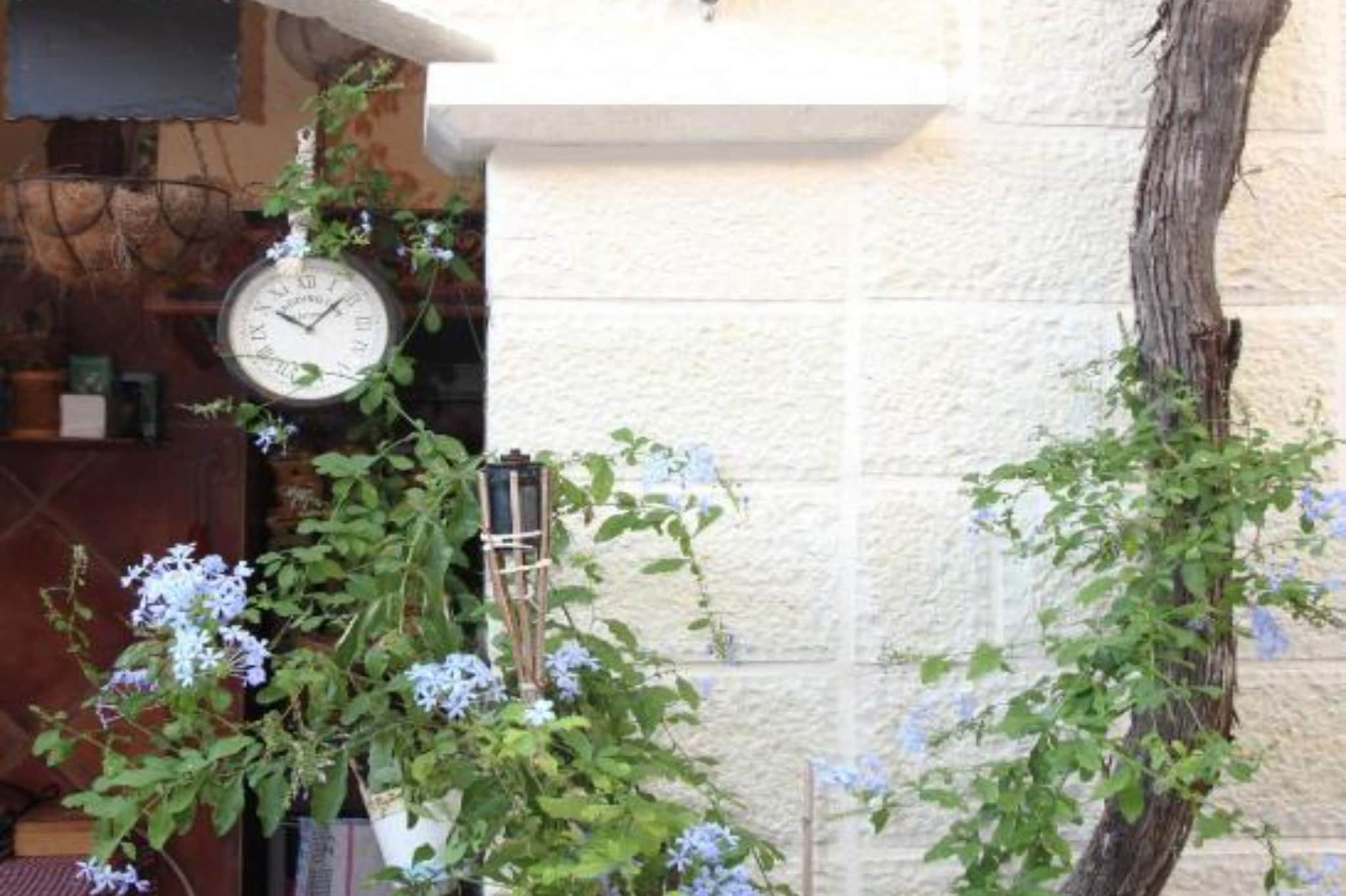 Quaint & Affordable Stay in Budva Traditional Stone House  - Standard Double Room 3-Tuinen zomer