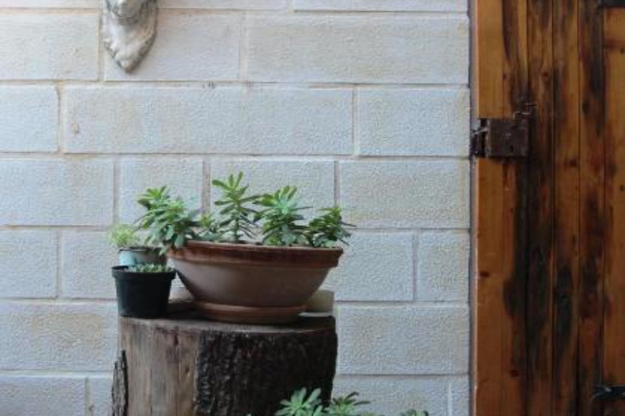 Quaint & Affordable Stay in Budva Traditional Stone House  - Standard Double Room 3