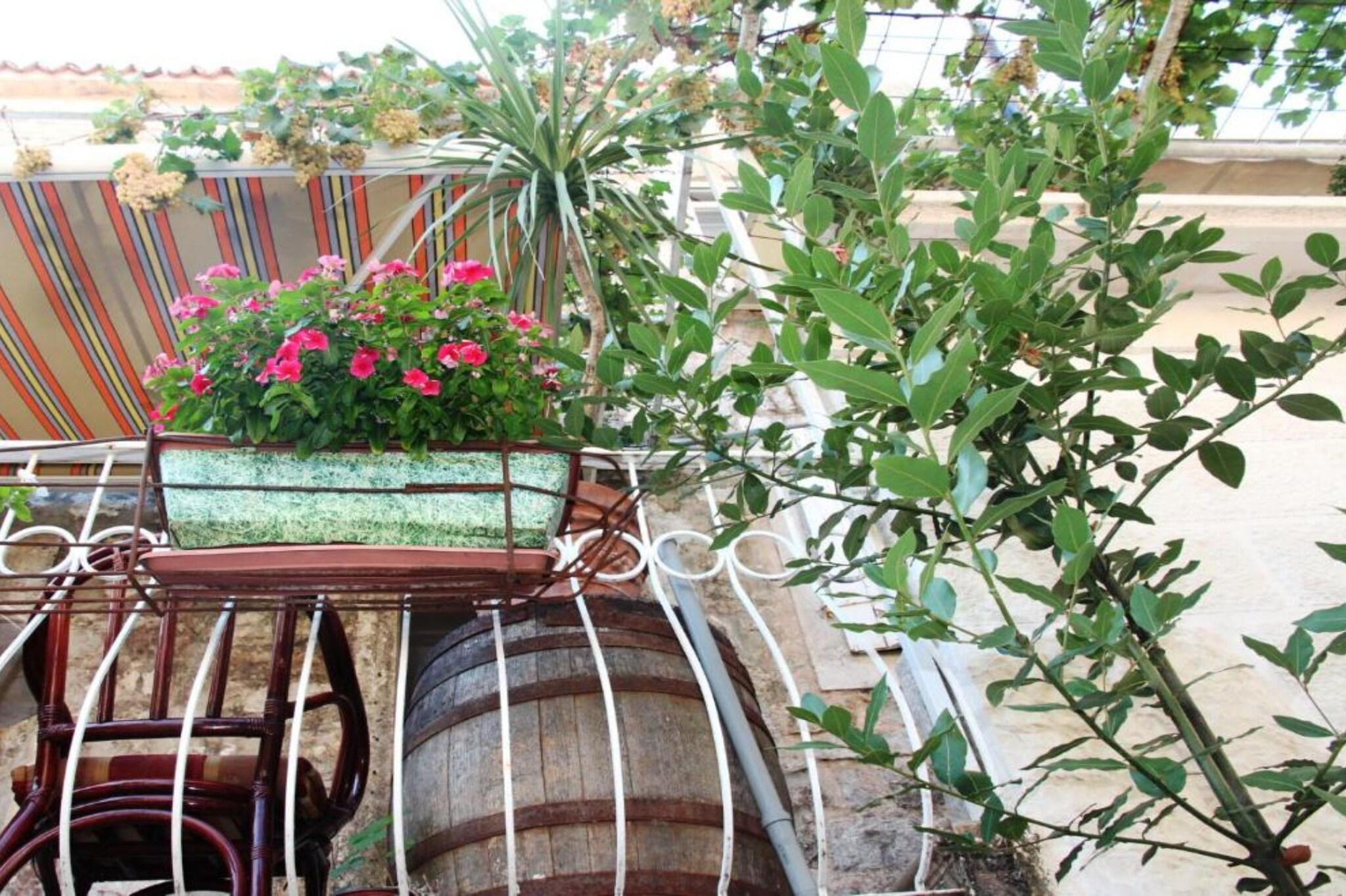 Quaint & Affordable Stay in Budva Traditional Stone House - Comfort Double Room 4-Tuinen zomer