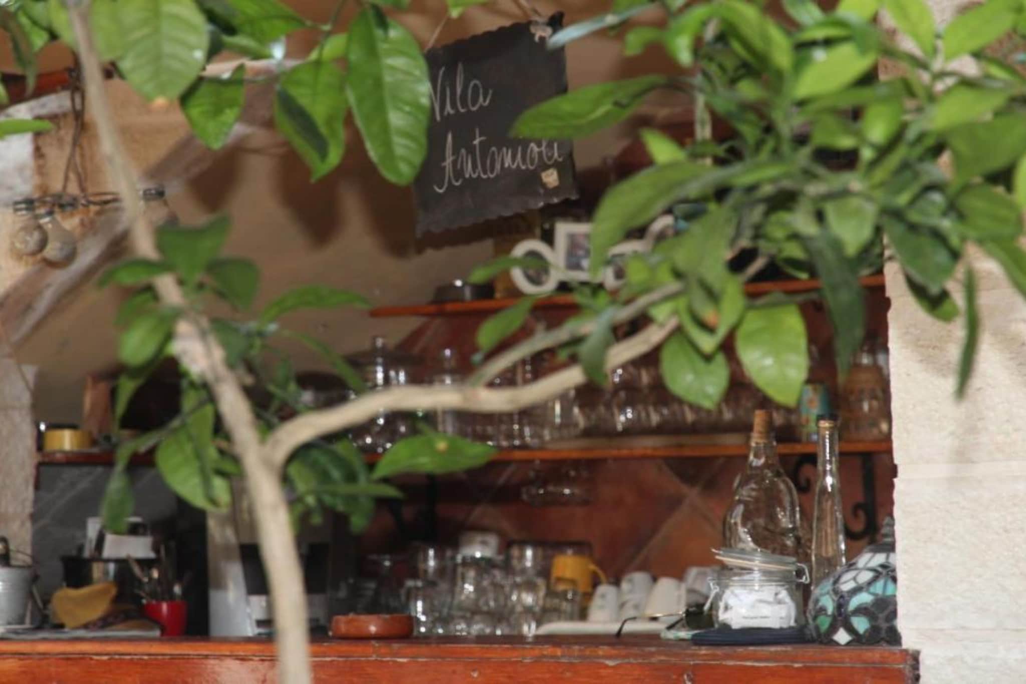 Quaint & Affordable Stay in Budva Traditional Stone House - Comfort Double Room 4-Tuinen zomer