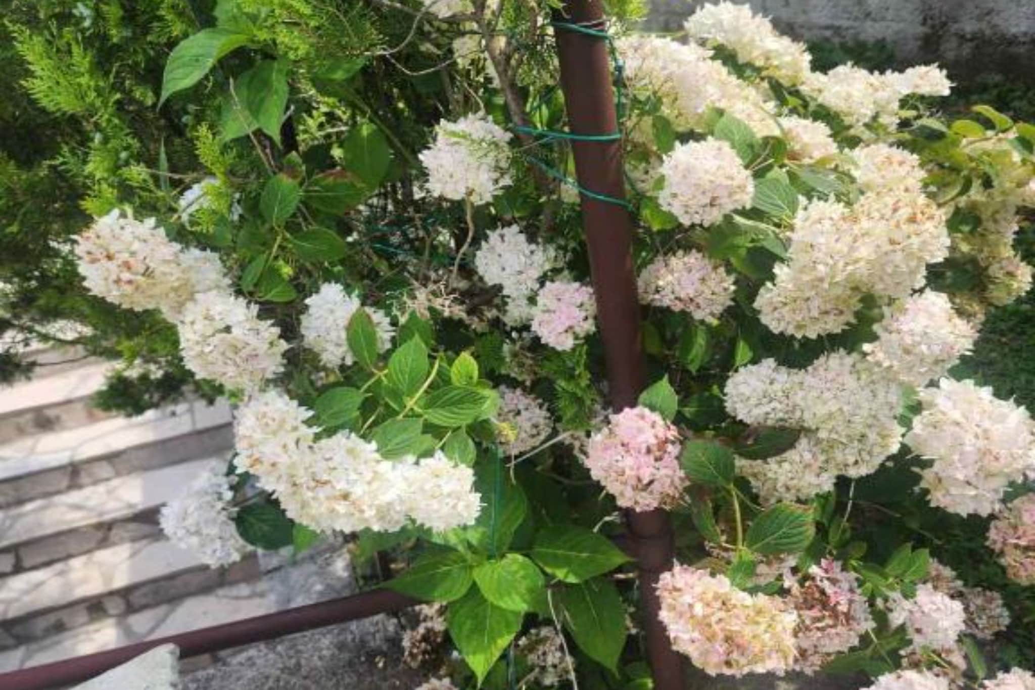 Deluxe City Escape with Modern Comforts & Garage - Double Room-Buitenlucht