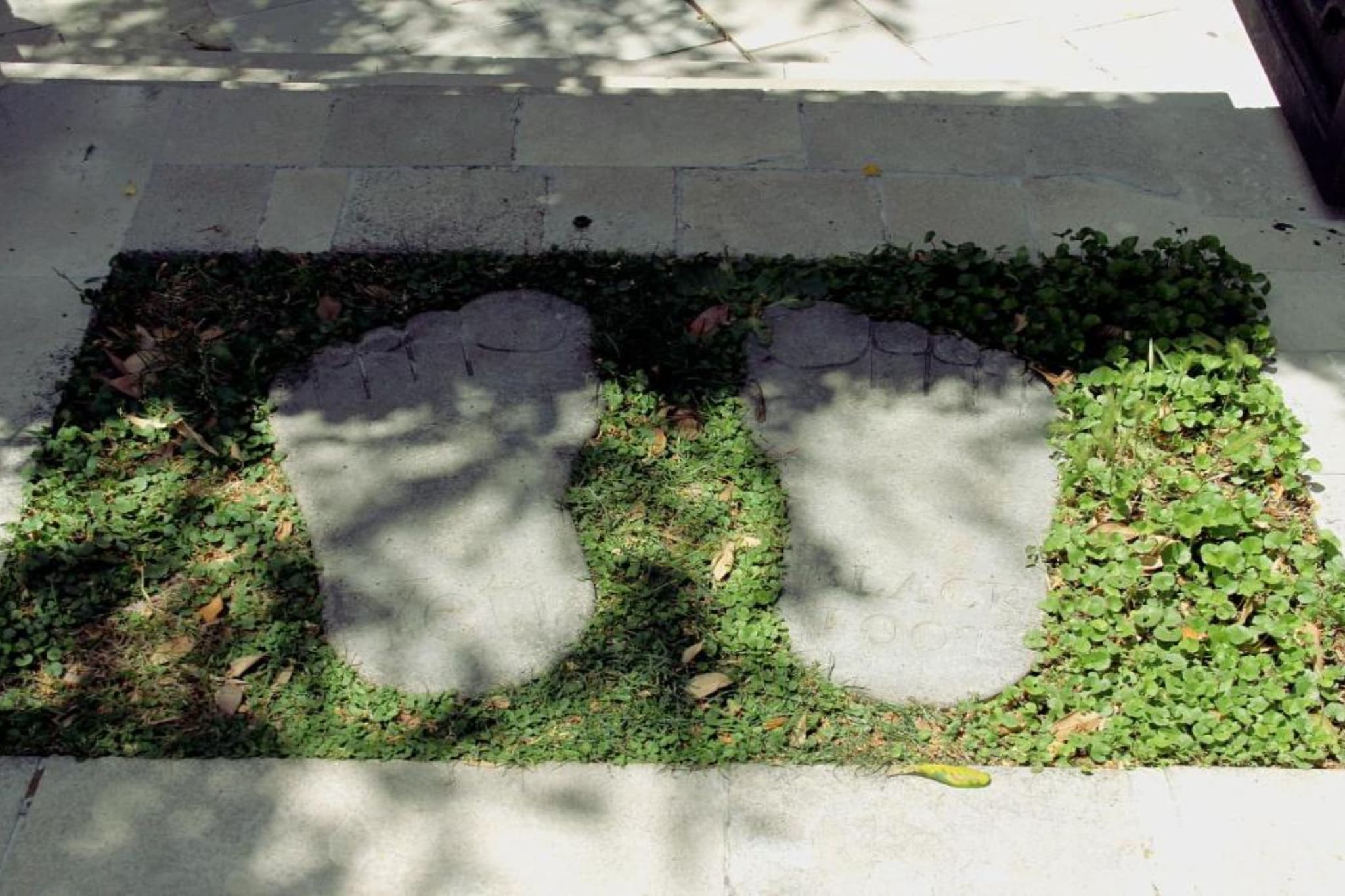 Charming & Cozy Apartment Close to Kotor Old Town - Two Bedroom Apartment-Buitenlucht