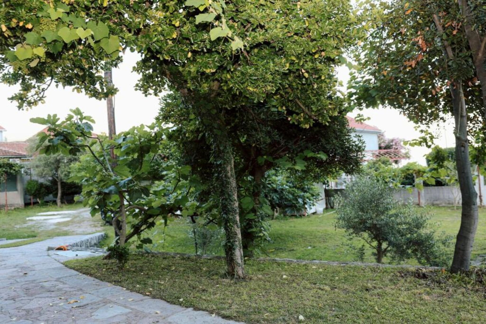 Stylish Apartment with Modern Elegance in Herceg Novi Area - Deluxe One Bedroom Apartment with Balcony-Buitenlucht