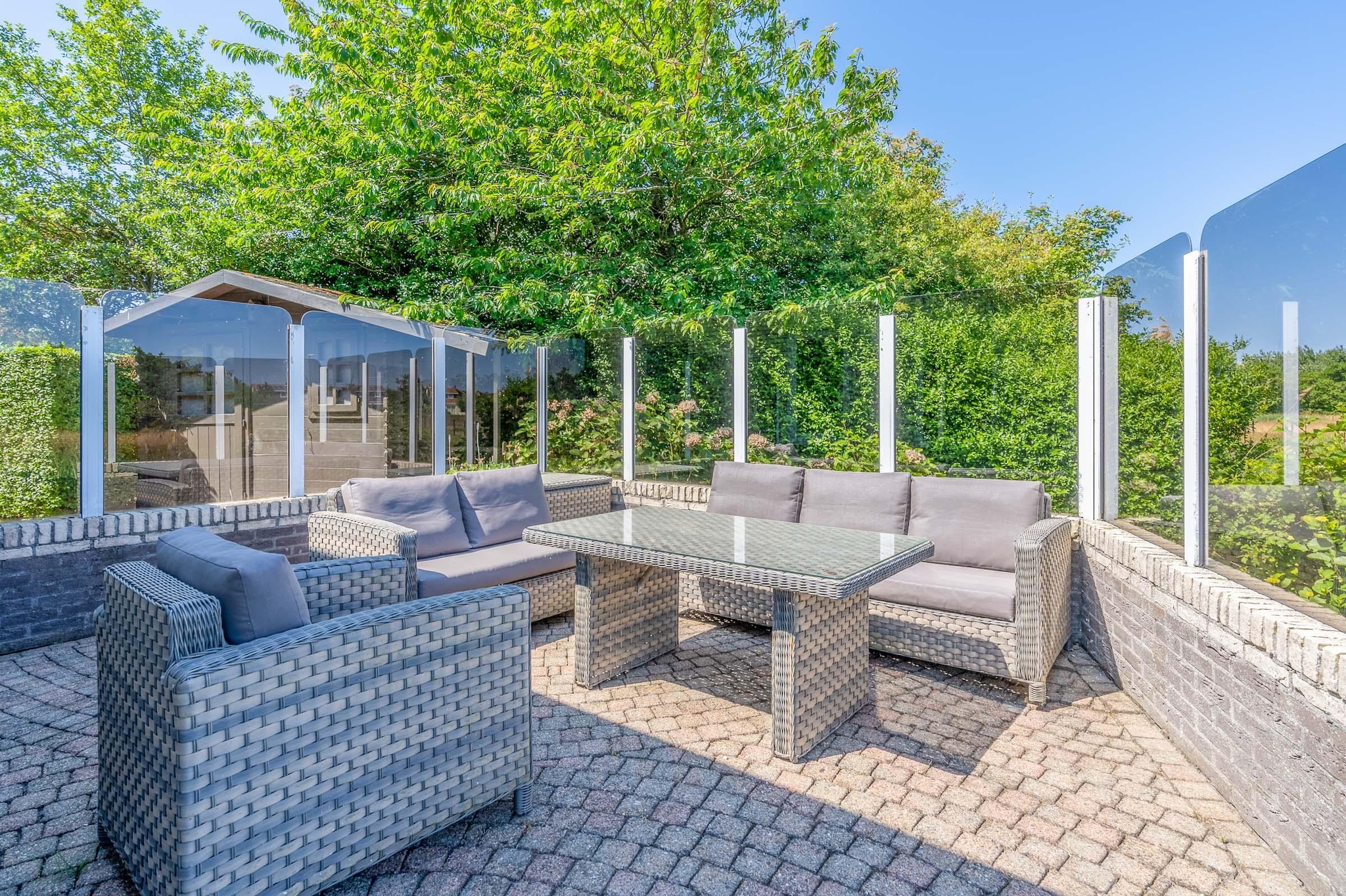 Kamperfoelie 71-Terras