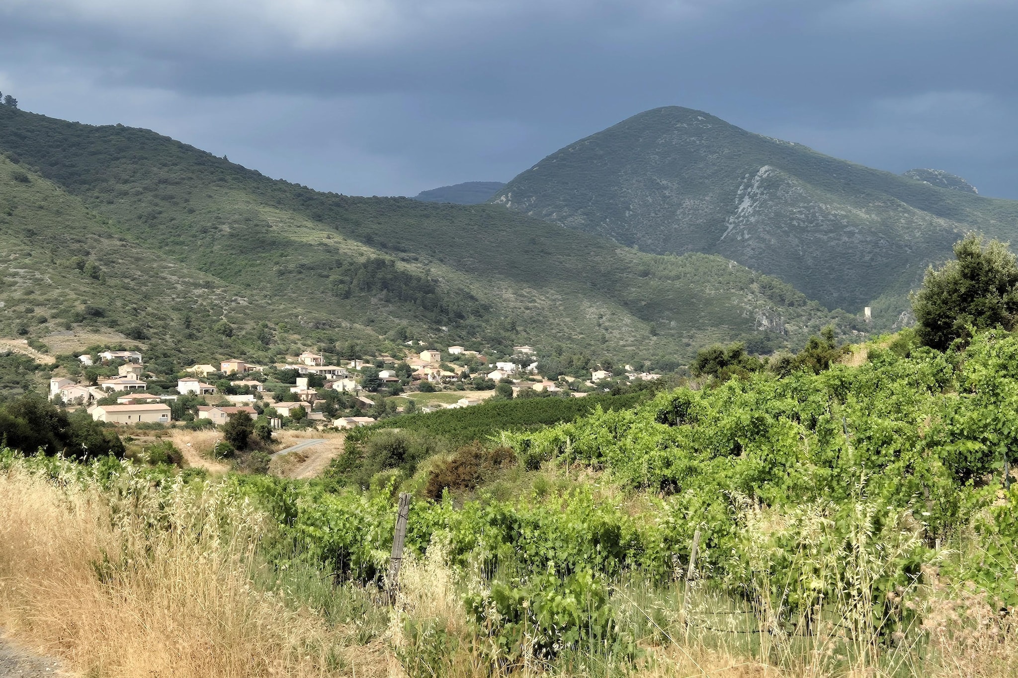 La Garrigue-Gebieden zomer 5km