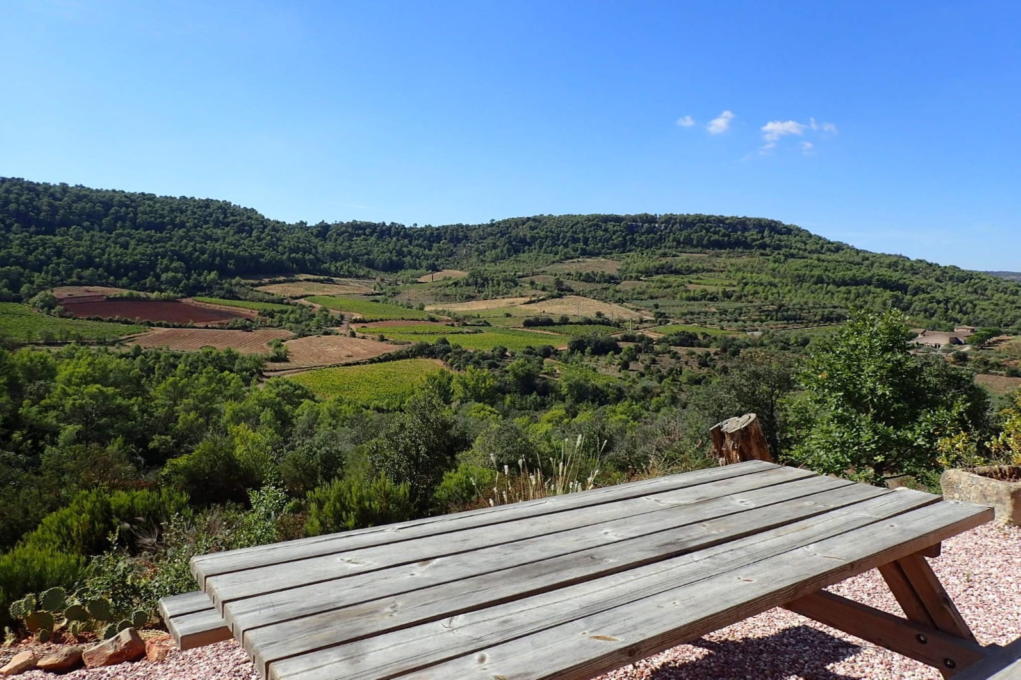View Summer