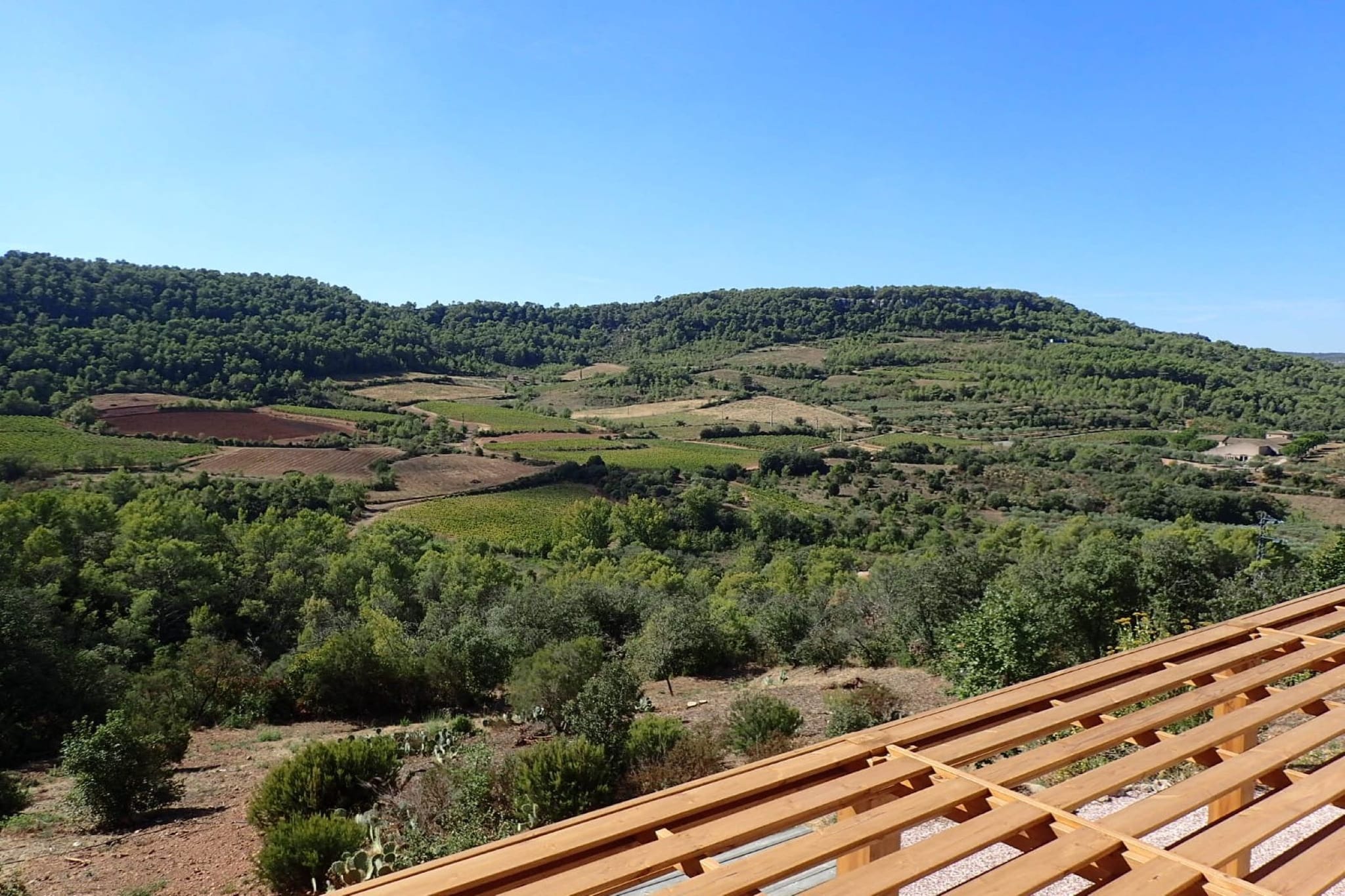 View Summer