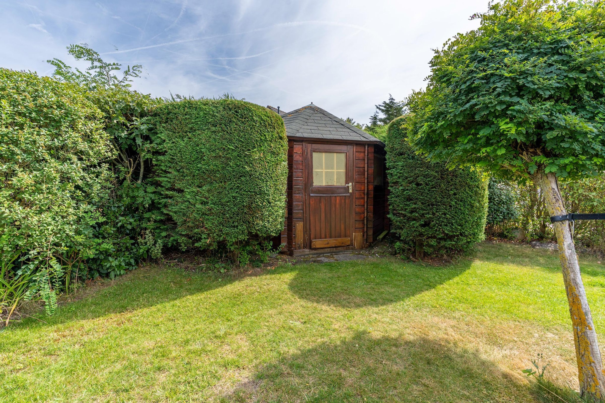 Kamperfoelie 61-Jardins en été