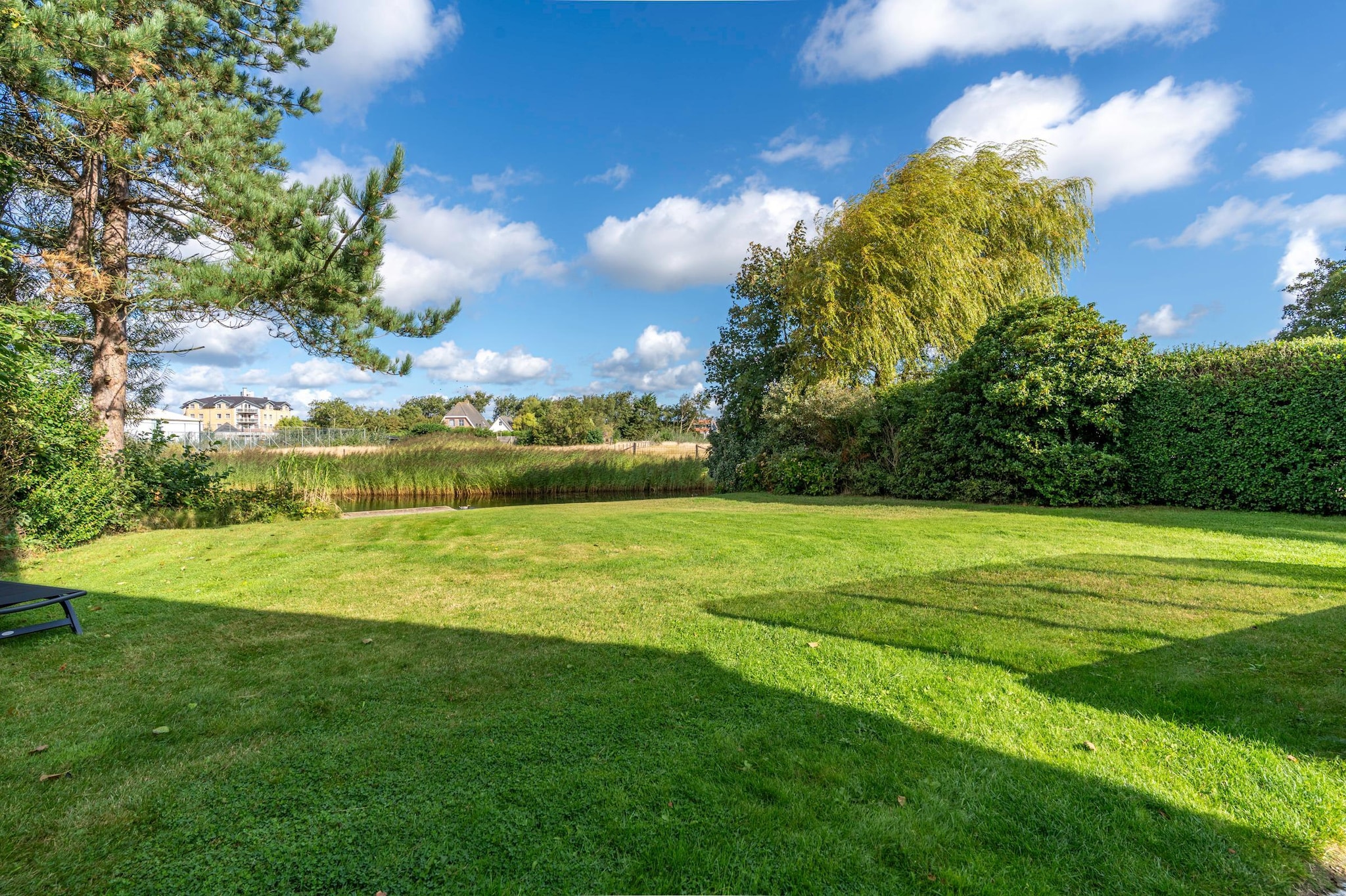 Kamperfoelie 63-Jardins en été